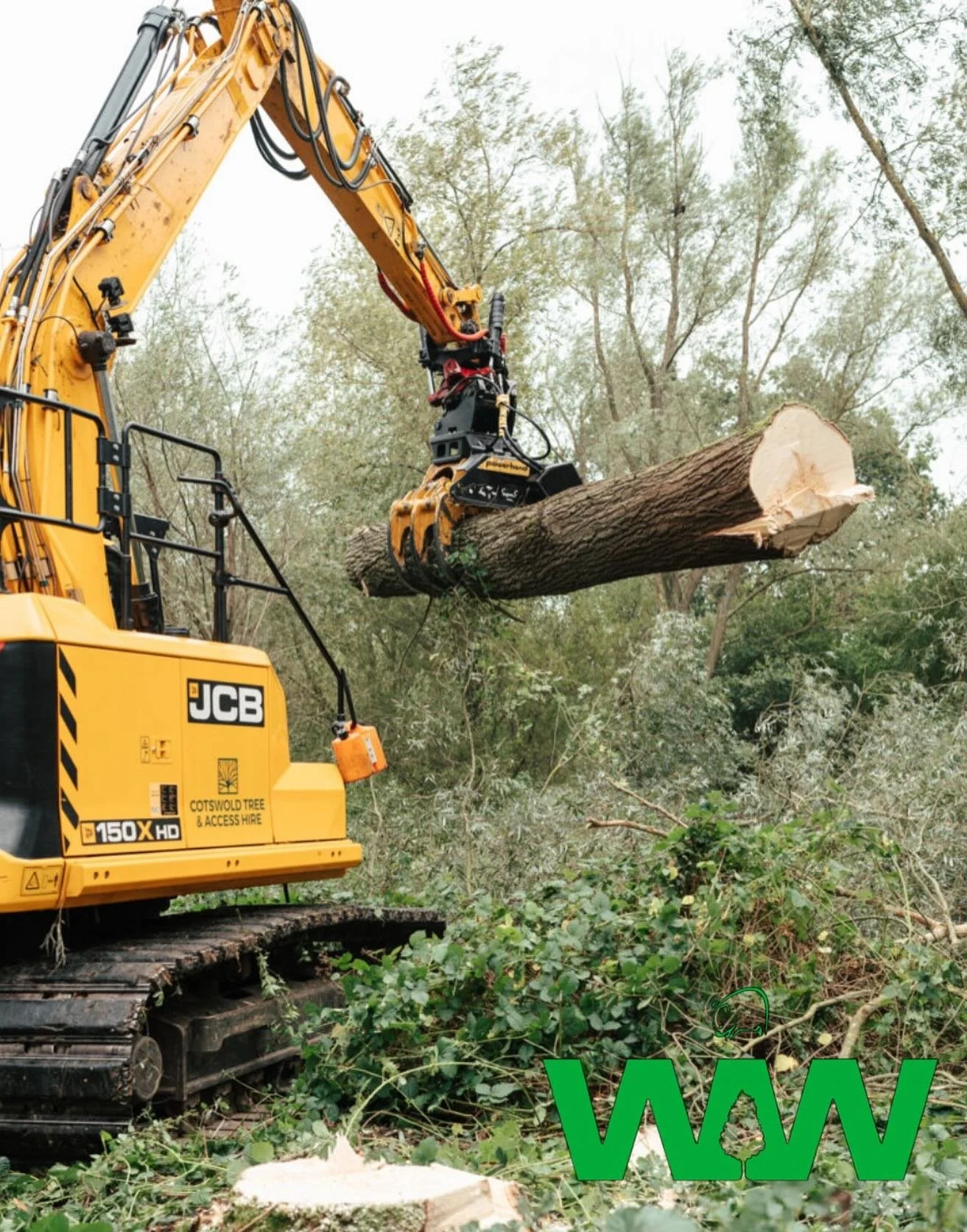 Do you have mature willows on your land? We travel all over the UK, top prices paid (we will beat any written quote) , felling with full extraction, re planting options. 

Contact us today for more information. 

🌿🪵

 #wombat #willow #cricketbatwil