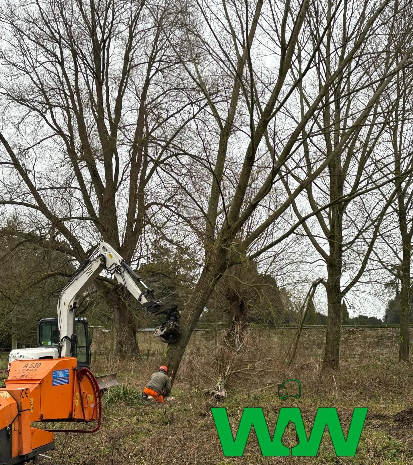 Starting the year off felling some fresh English Willow. 
🌿🪵

 #wombat #willow #cricketbatwillows #cricketbatwillow #cricket #ukgrown #ukmade #timber #wood #woodworking #treefelling #harvest #englishwillow #cricketbat #englishbatmaking #boutique #u
