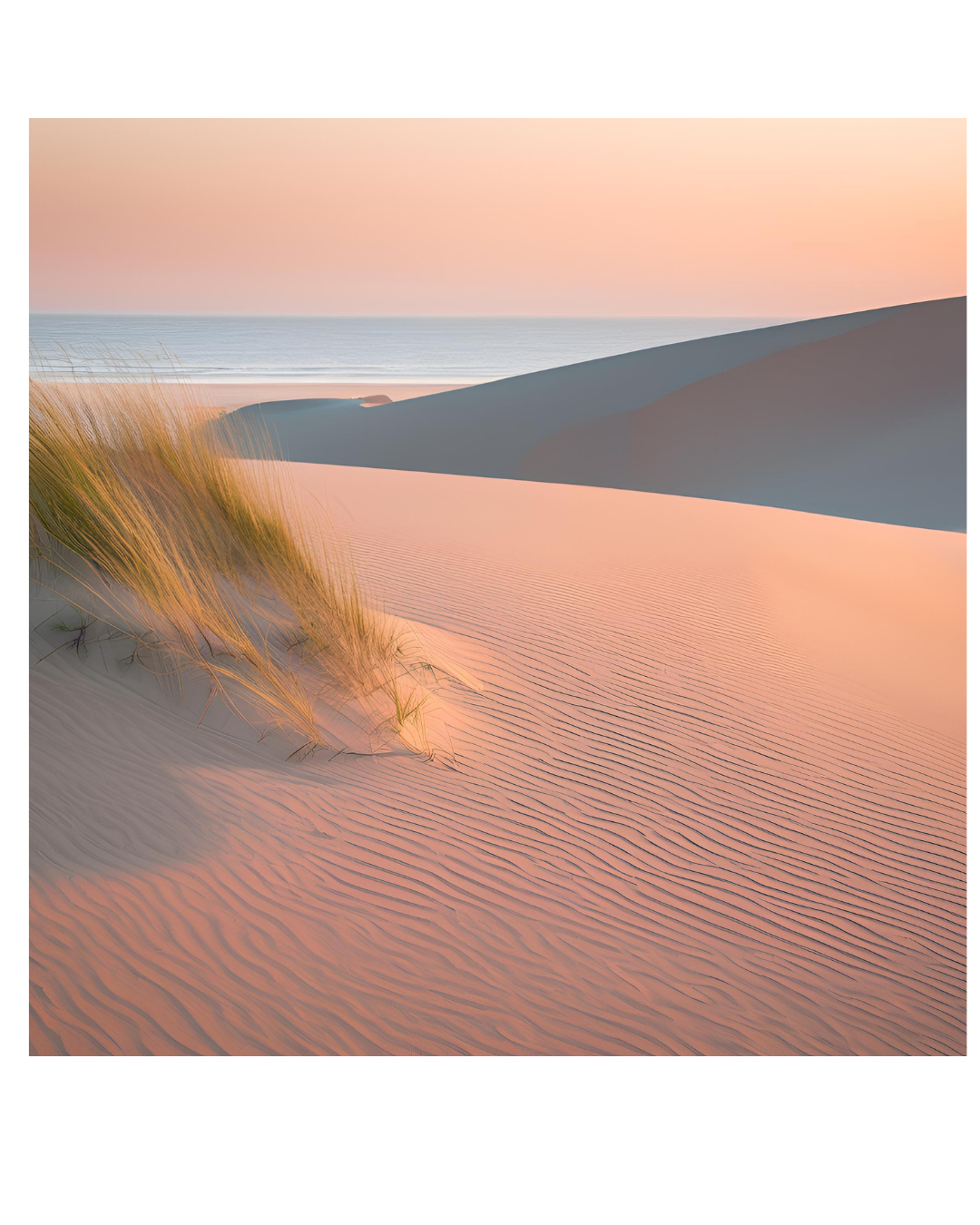 Sand dunes with rippled patterns and tufts of grass, leading to a calm ocean in the distance at sunset with pink and orange hues in the sky.