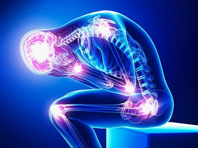 Anatomie de la douleur