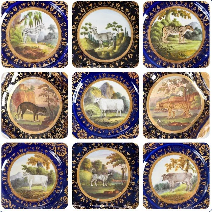 Supplement cover image