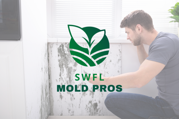 Welcome to SWFL Mold Pros
