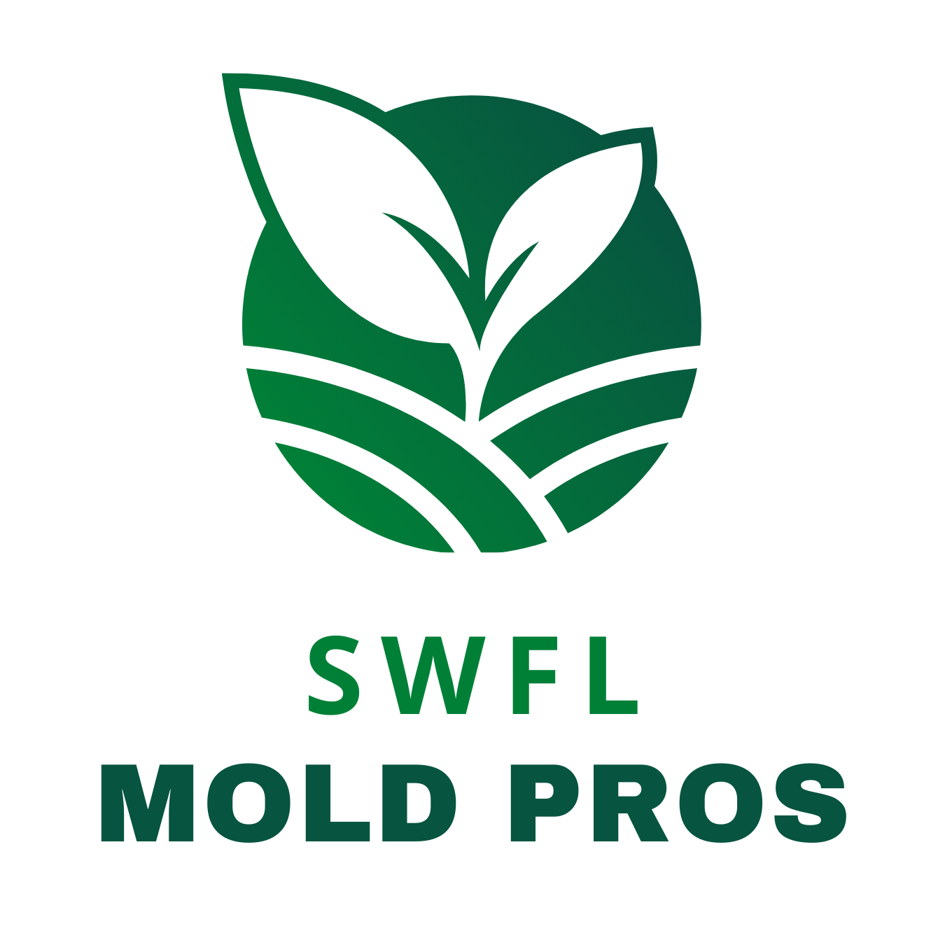 Your AC Is Probably the #1 Hidden Mold Source in Your SWFL Home