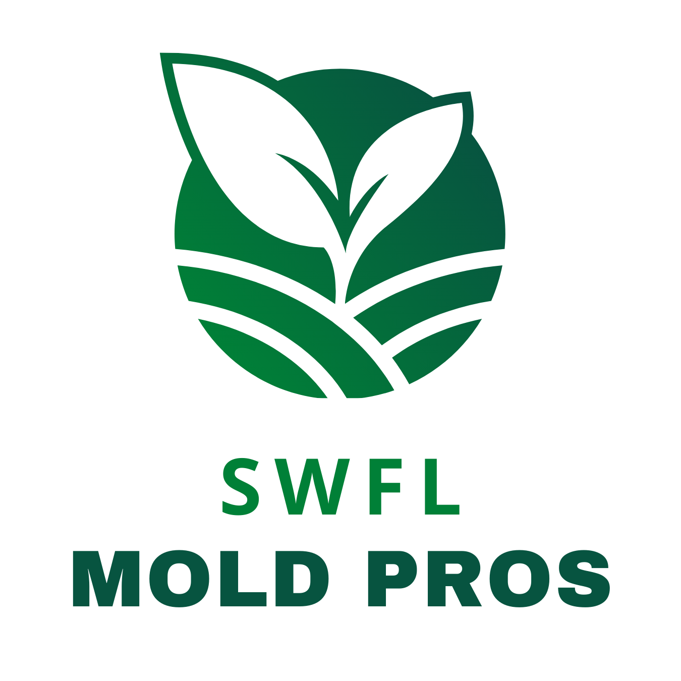 Mold Behind the Walls: Why SWFL Homes Have Hidden Growth You Can't See or Smell