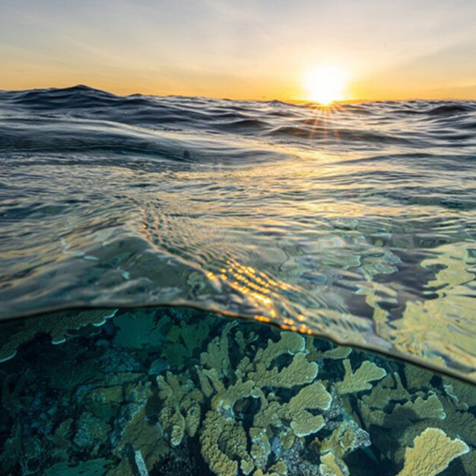 Exploring The Ocean To Inspire Action