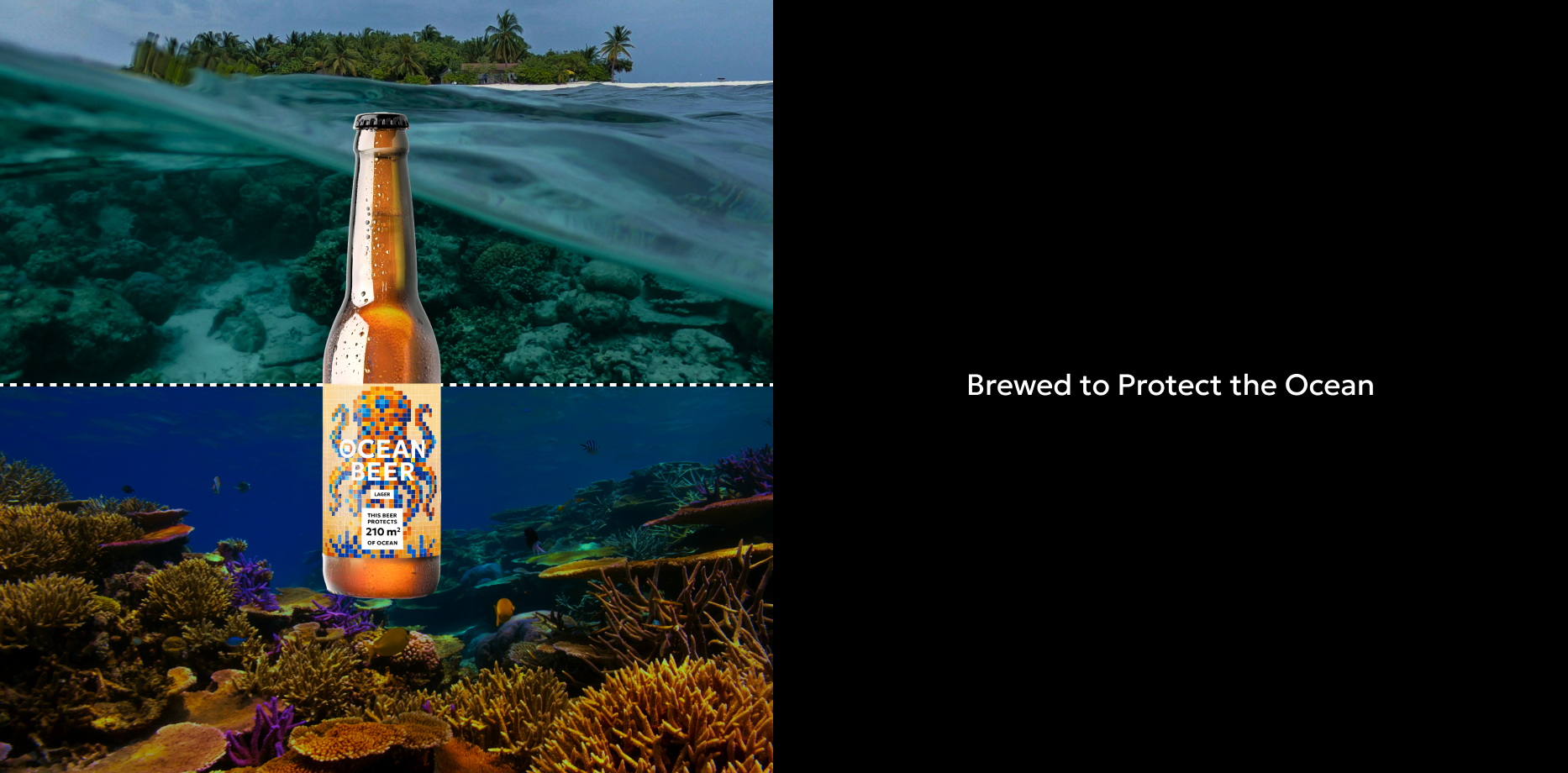 Drinking Responsibly and Sustainably: How Ocean Beer Makes Every Sip Count