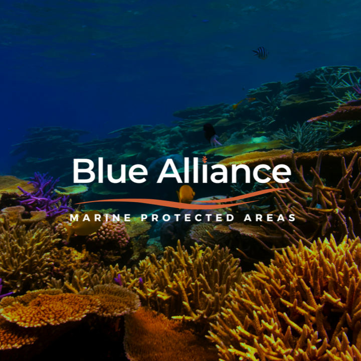 Introducing our partner: Blue Alliance Marine Protected Areas