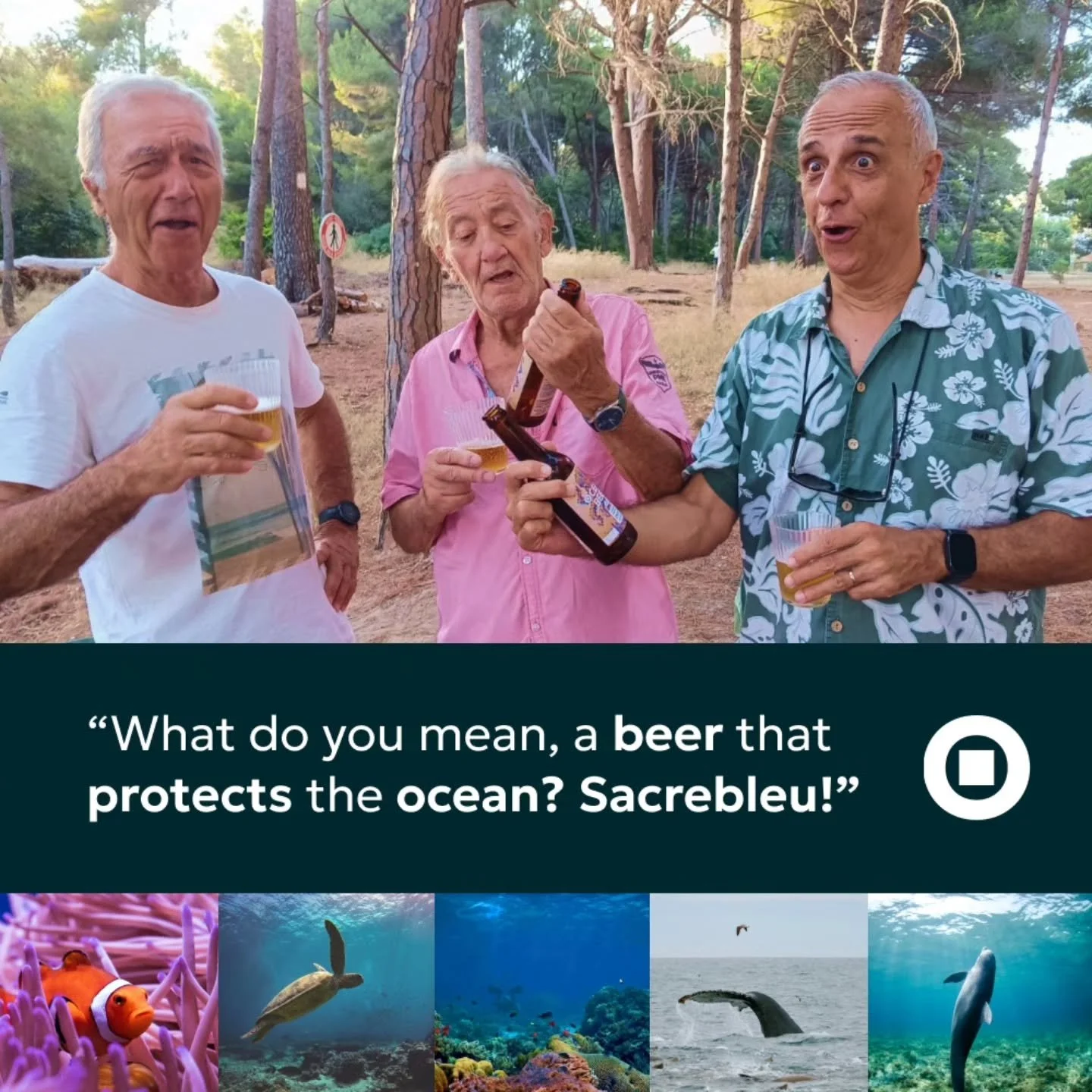 Ocean Beer has officially landed in France 🇫🇷🌊

The reactions have been pretty much what you'd expect...

"Wait... this beer protects the ocean?" 👀🍻

Good beer. Good company. A sunset by the sea. And 100% of profits help protect the oc
