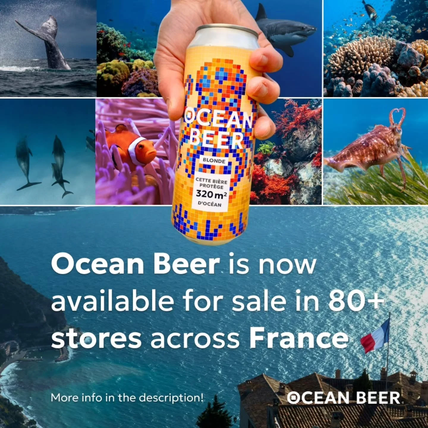 France, here we come! 🇫🇷

We're incredibly proud to see Ocean Beer continuing to grow across France. You can now find us in more than 80 stores, with even more locations joining over the coming weeks.

Every Ocean Beer is different. As a foundation