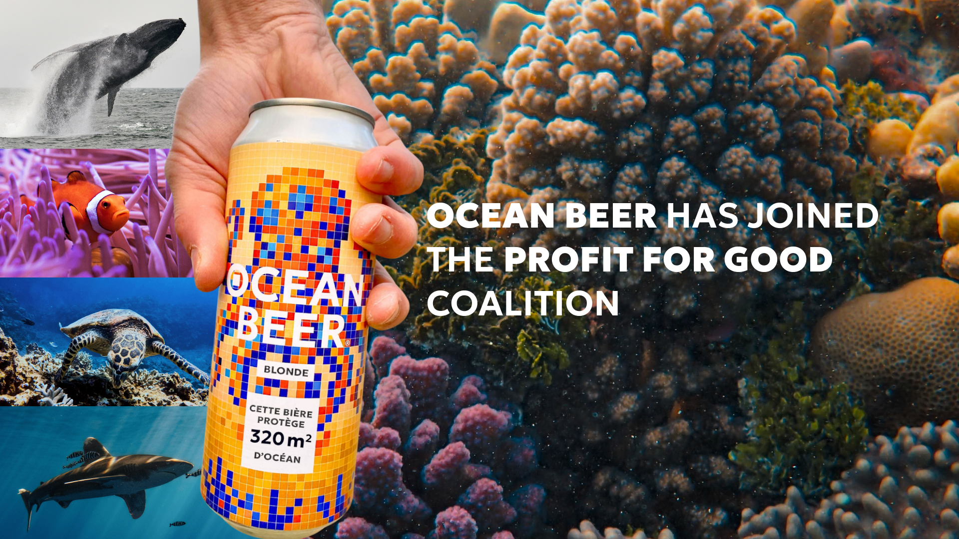 Ocean Beer Joins the Profit for Good coalition!