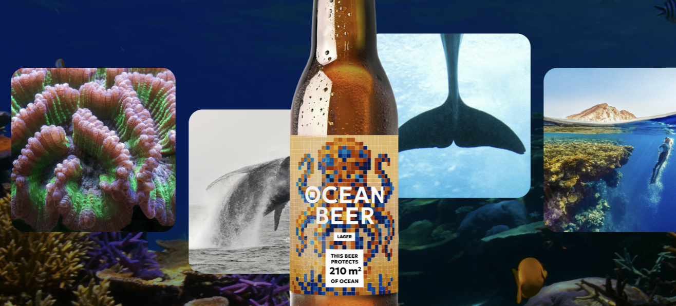 Where the money from Ocean Beer actually goes.