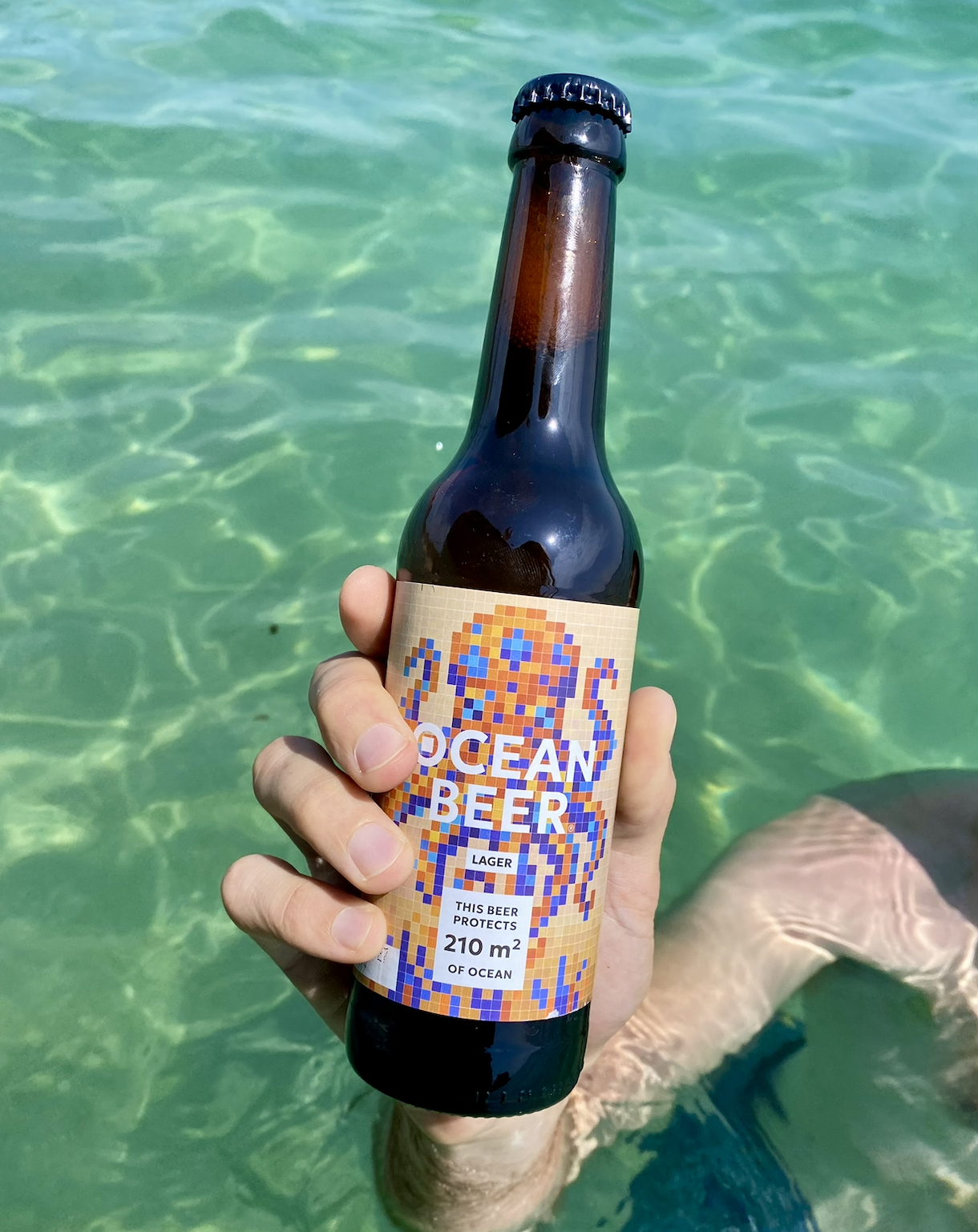 Why we give 100% of our profits to the ocean