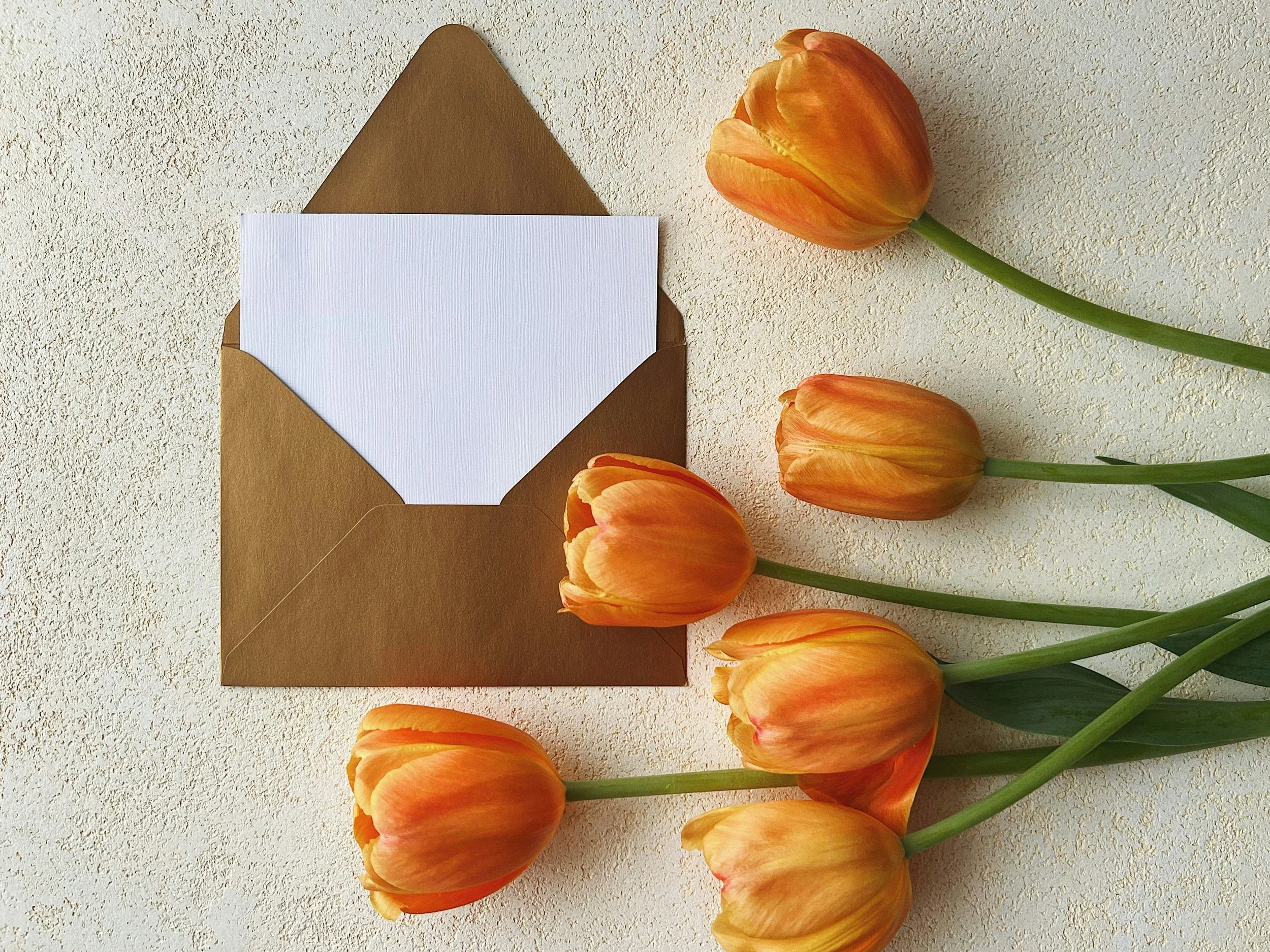 Kontaktbild – jetzt Nachricht an Freelancerin senden