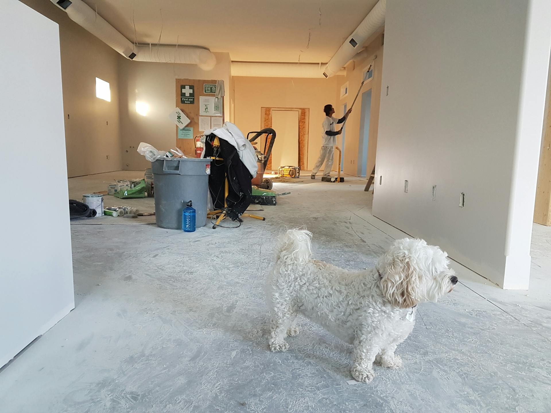 Drywall Repair
