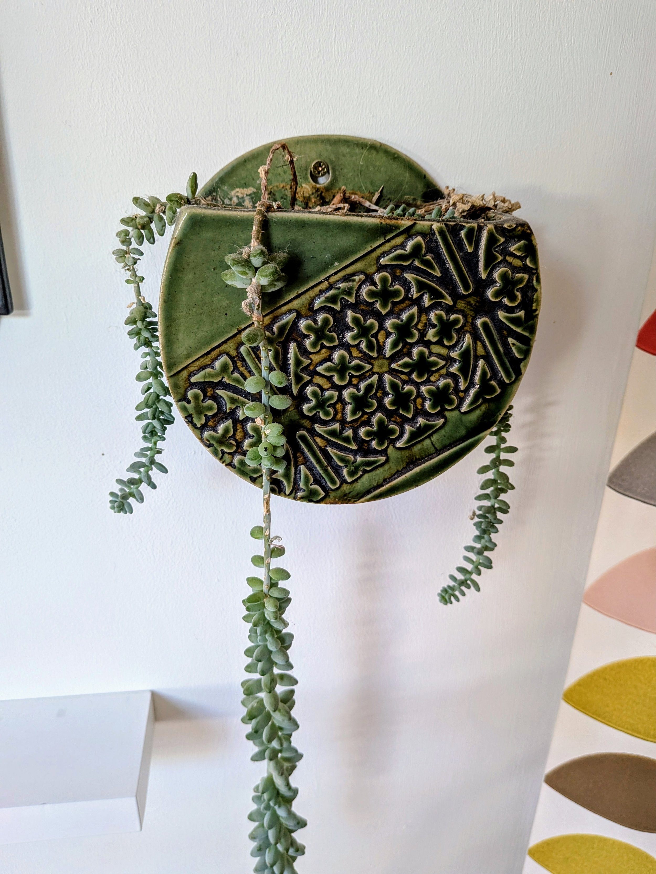 Hanging ceramic wall planter with geometric and floral patterns, containing a trailing succulent plant.
