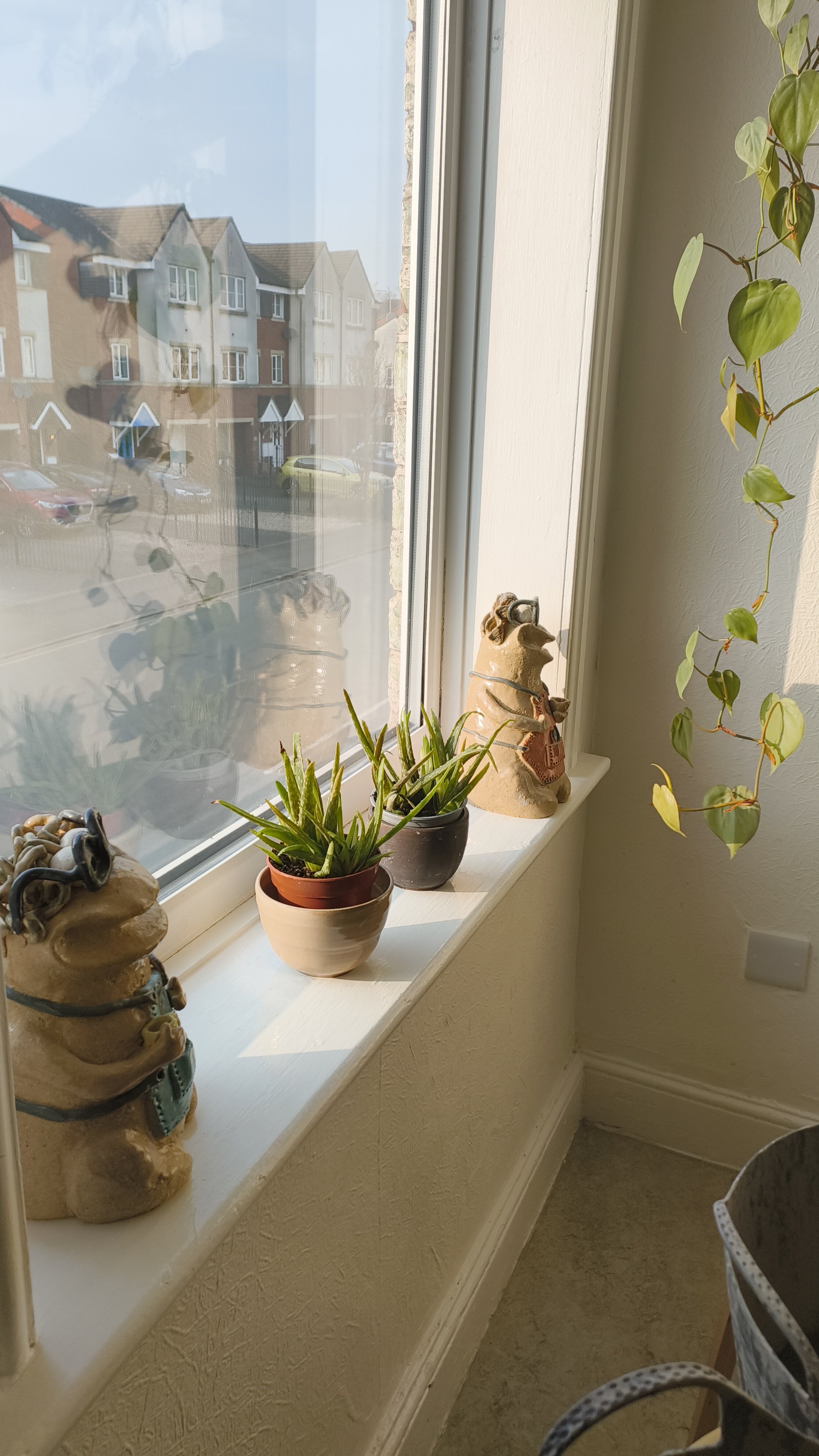 Window sill with aloe vera plants in pots, decorative ceramic frogs, and a hanging plant, with suburban houses visible outside.