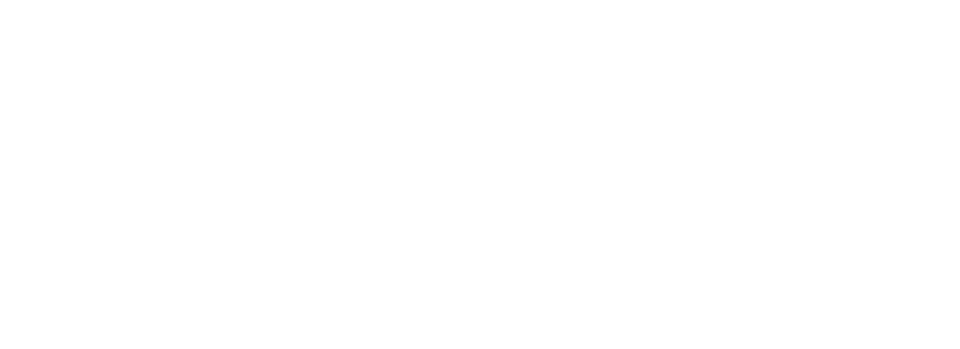 UMDF logo