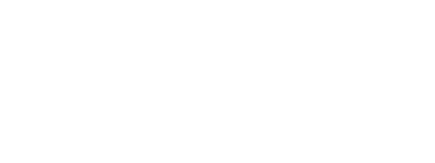 Mastering Leadership Executive Education
