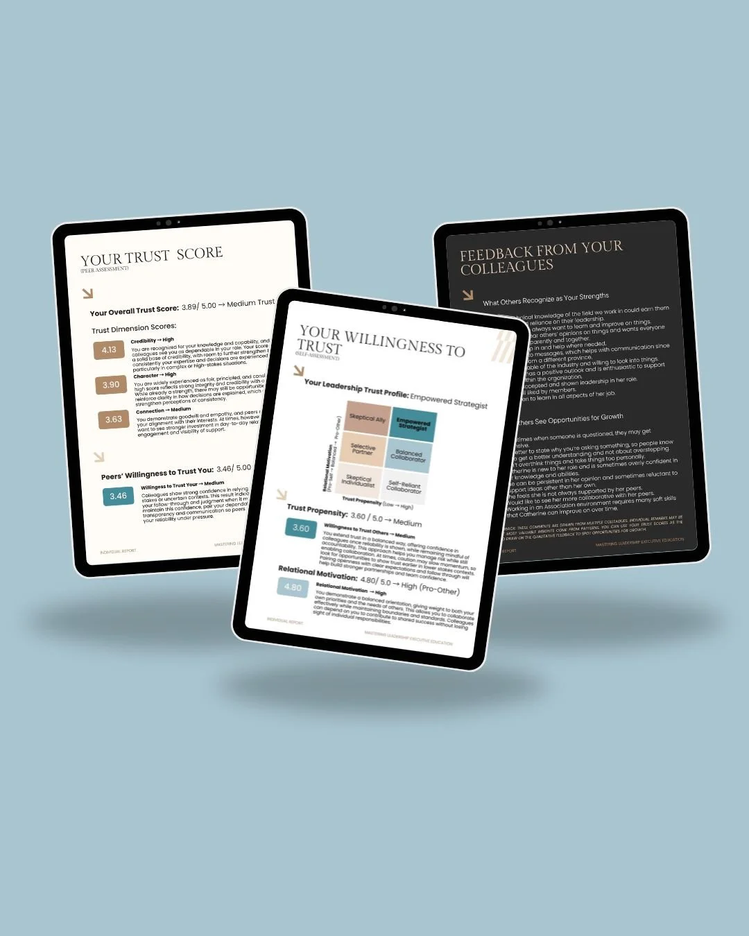 Trust Audit Mockup (6).jpg