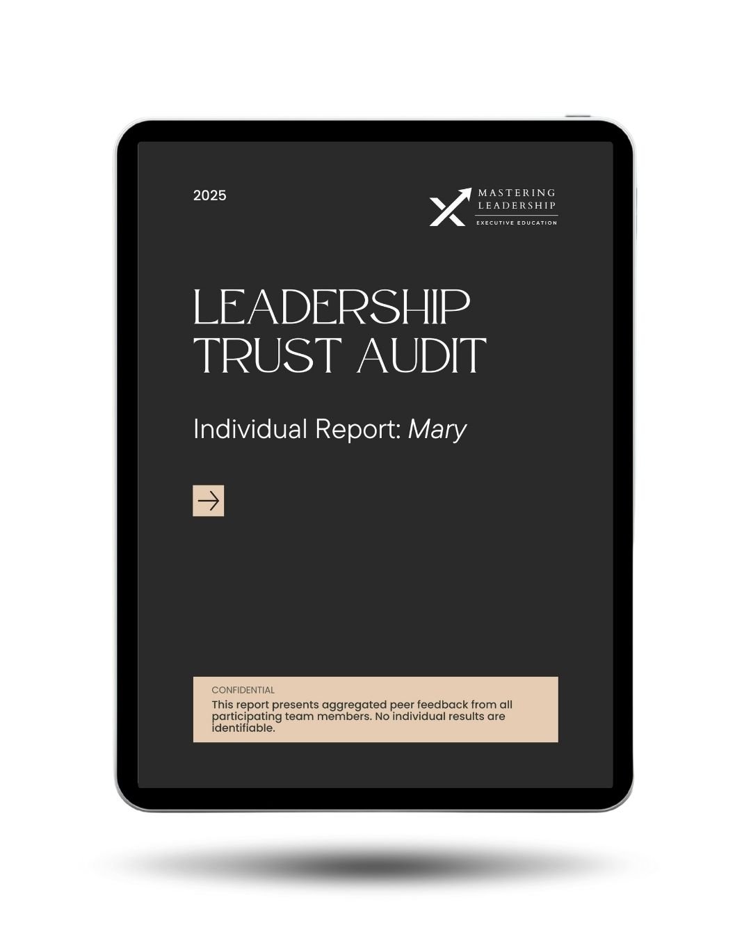 Trust Audit Mockup (4).jpg