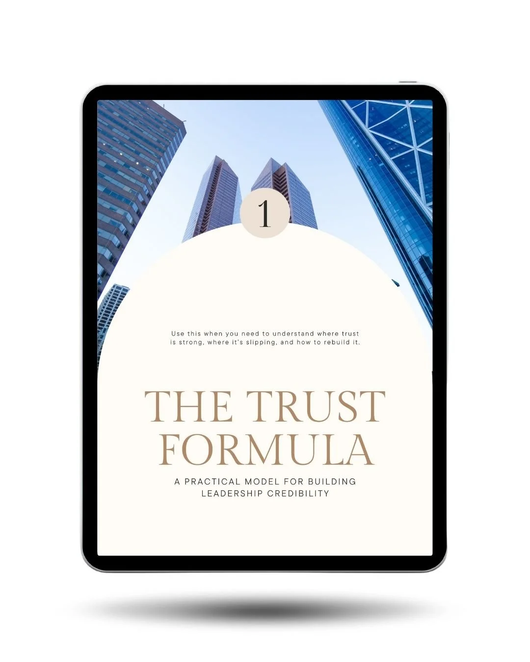 Trust Audit Mockup (1).jpg