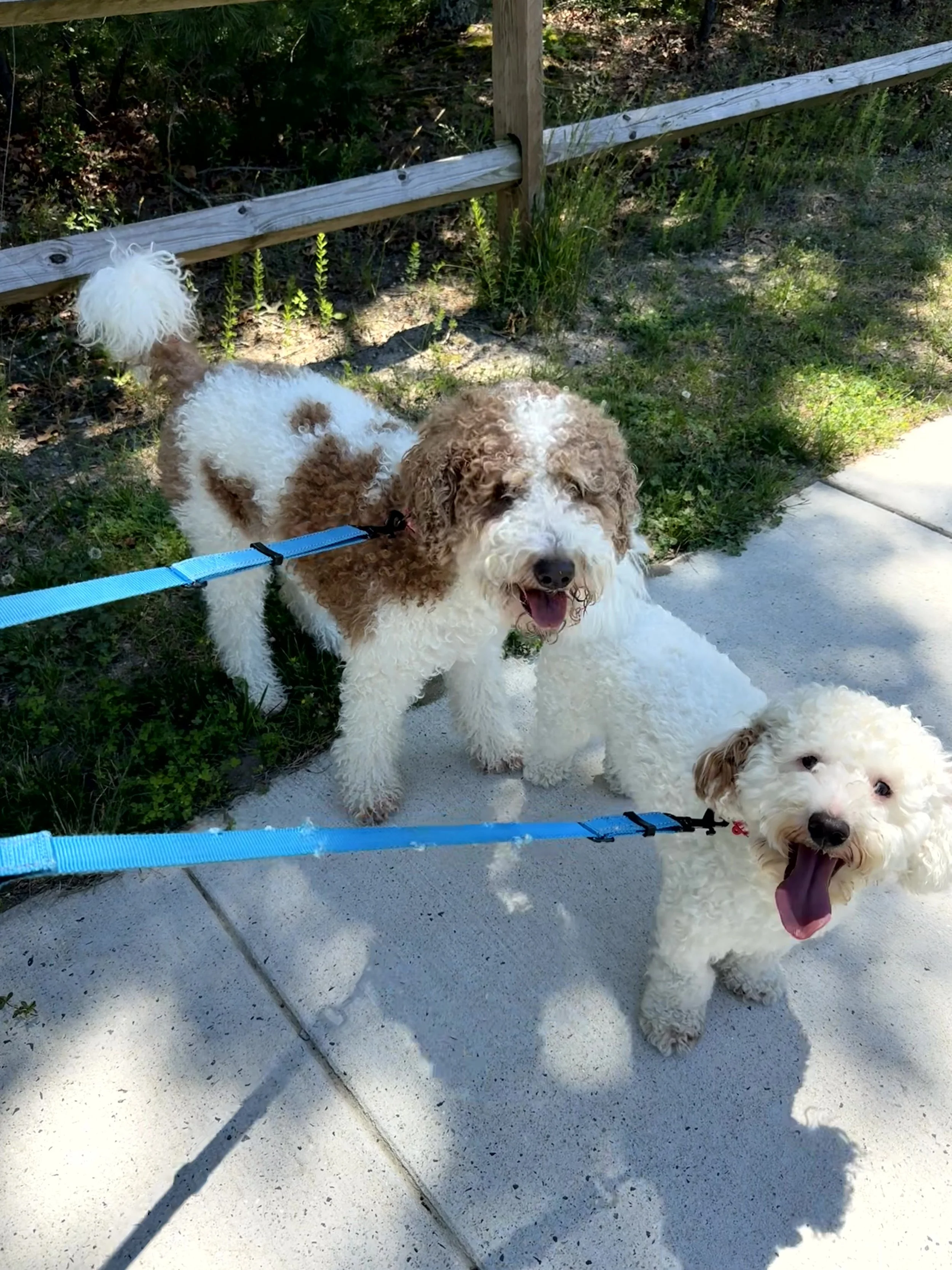 Penny & Winston