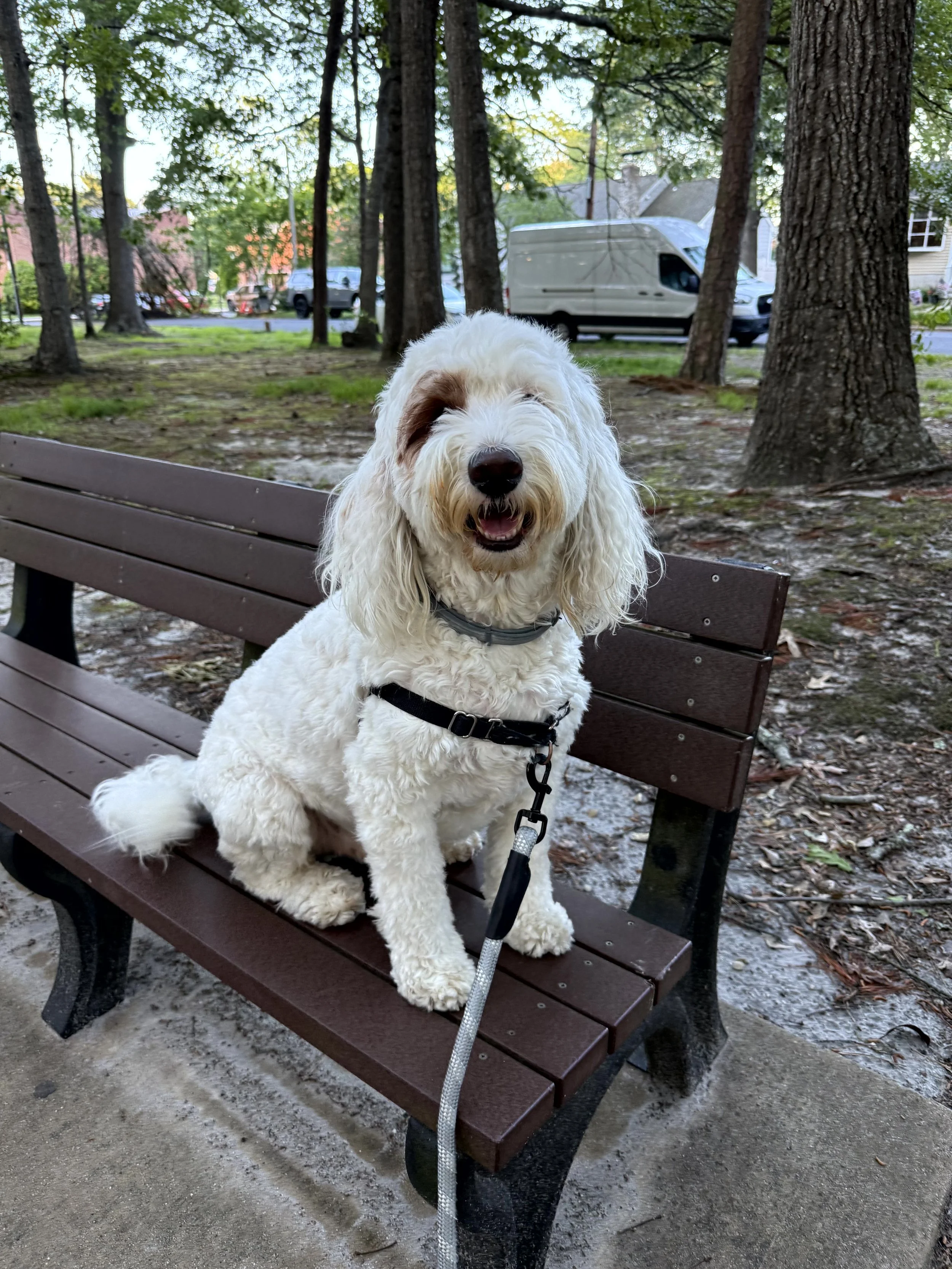 Charlie