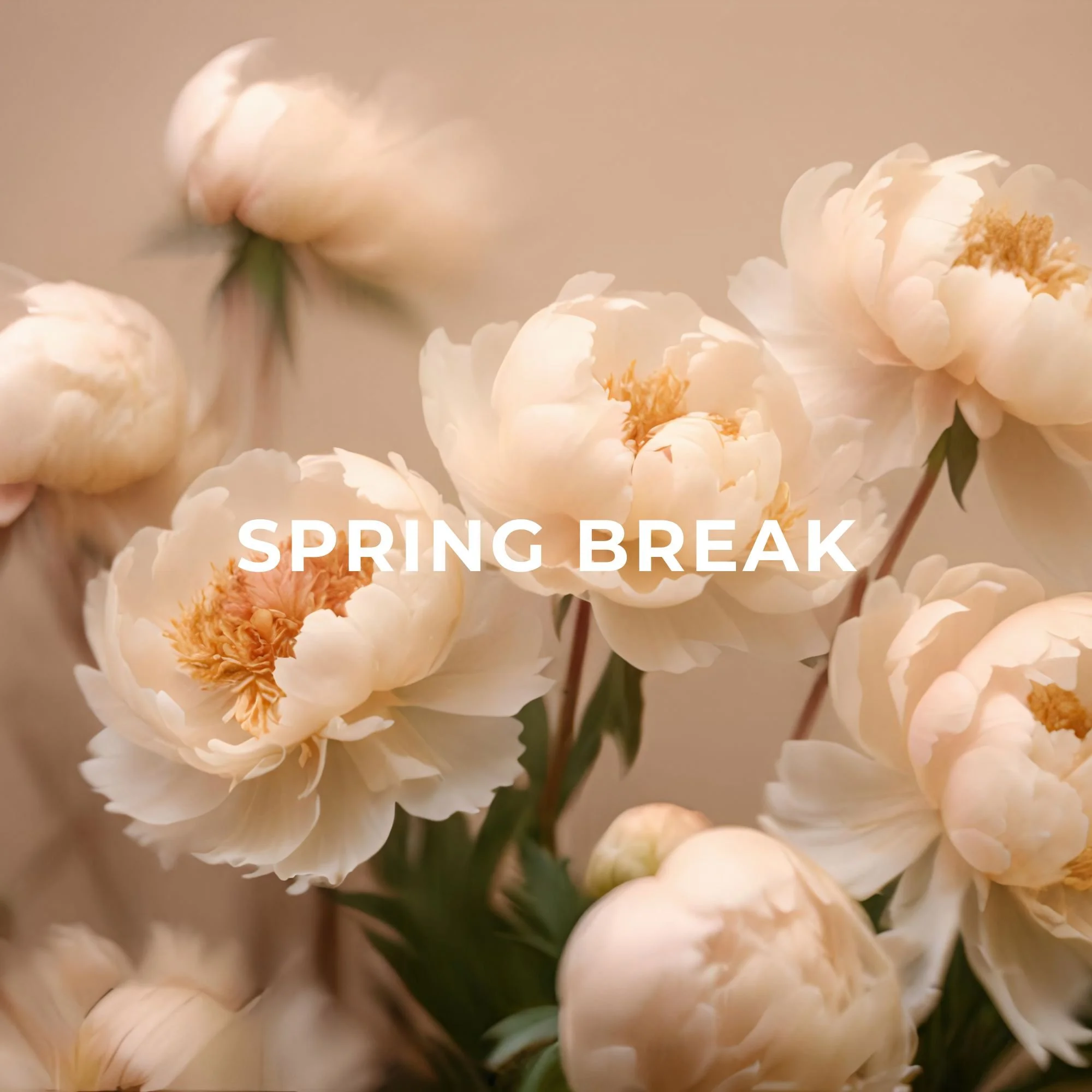 Spring Break