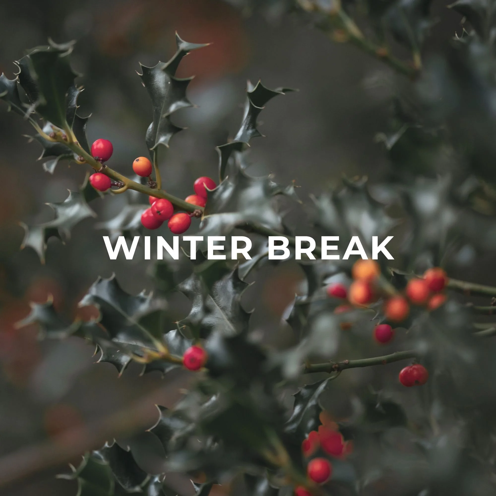 Winter Break