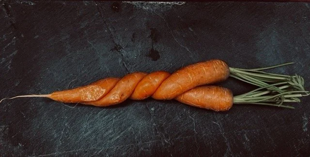 nature creative.jpeg