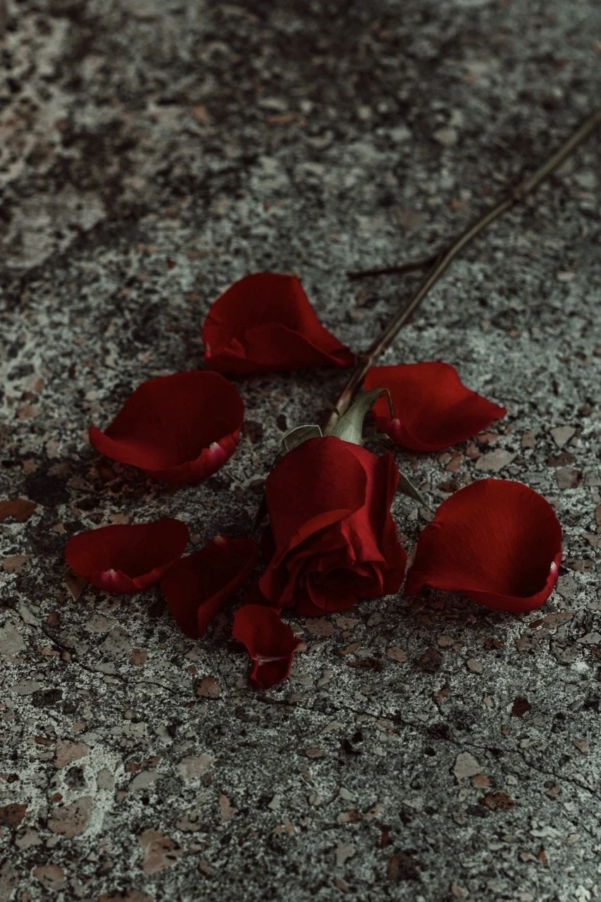 roses.jpeg