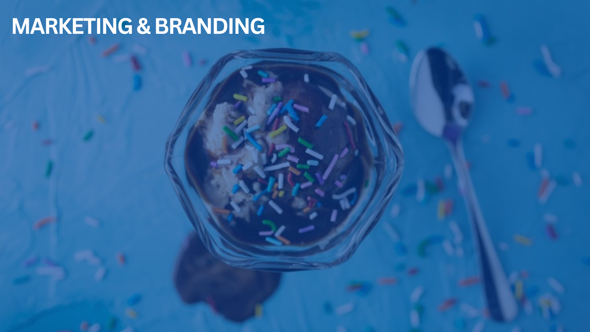 Your Brand is More Than a Logo (why picking your favorite color isn’t a brand strategy)