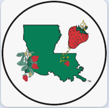 STRAWBERRY FEST AFTER HOURS