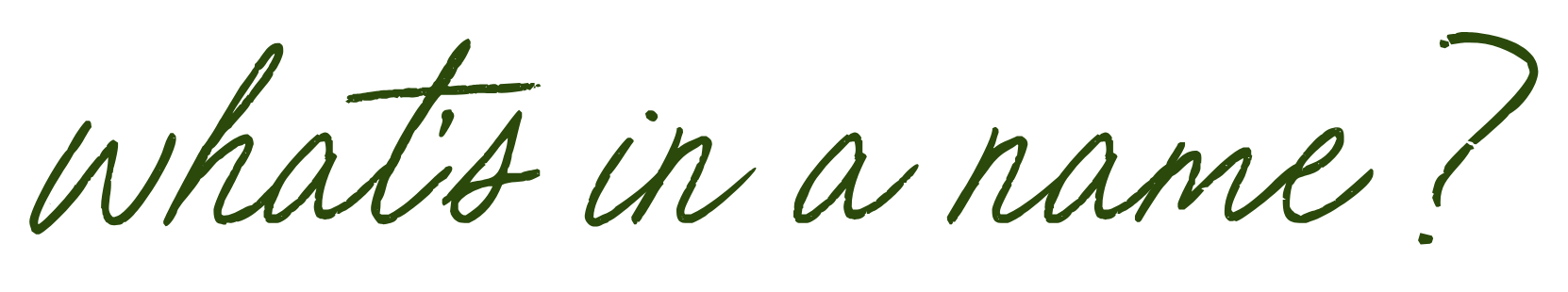 "what's in a name?" text in green cursive font