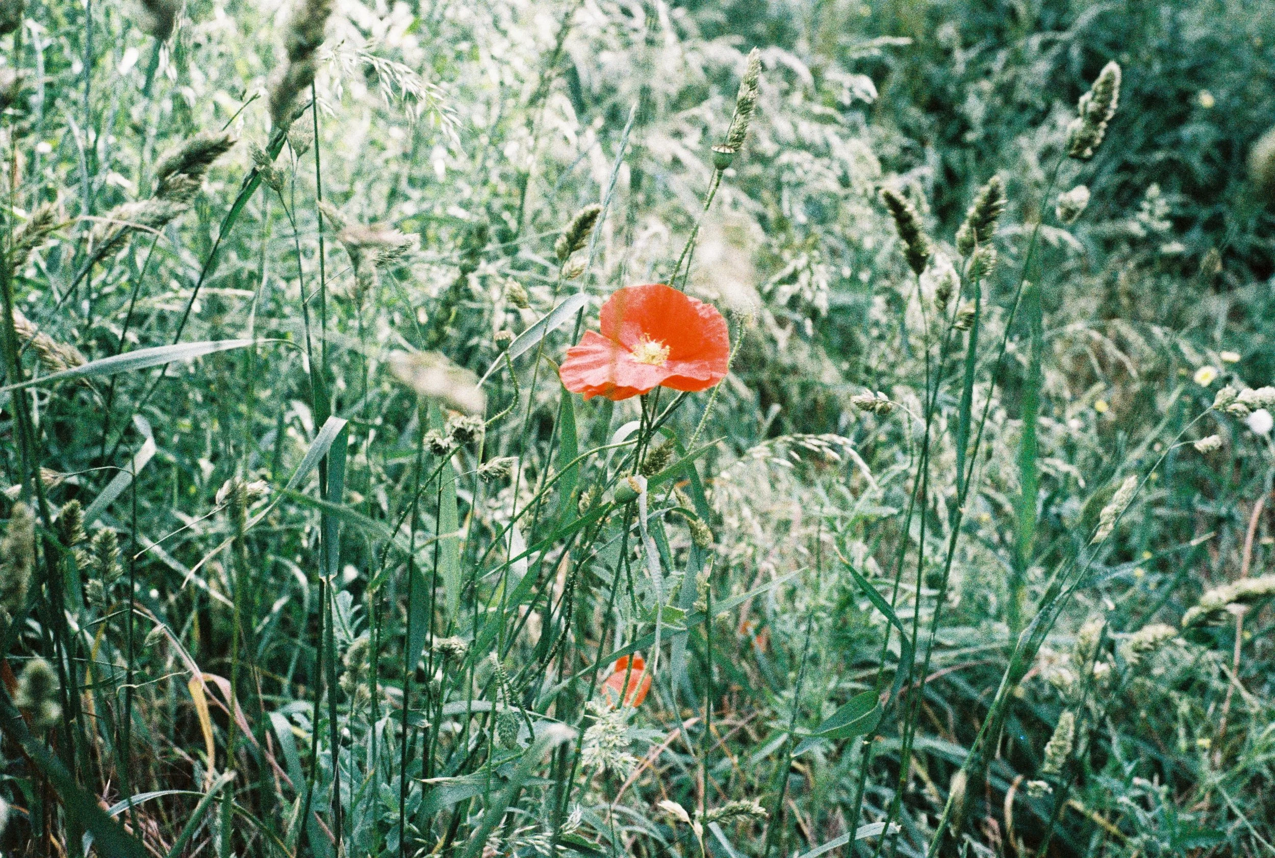 000064.JPG