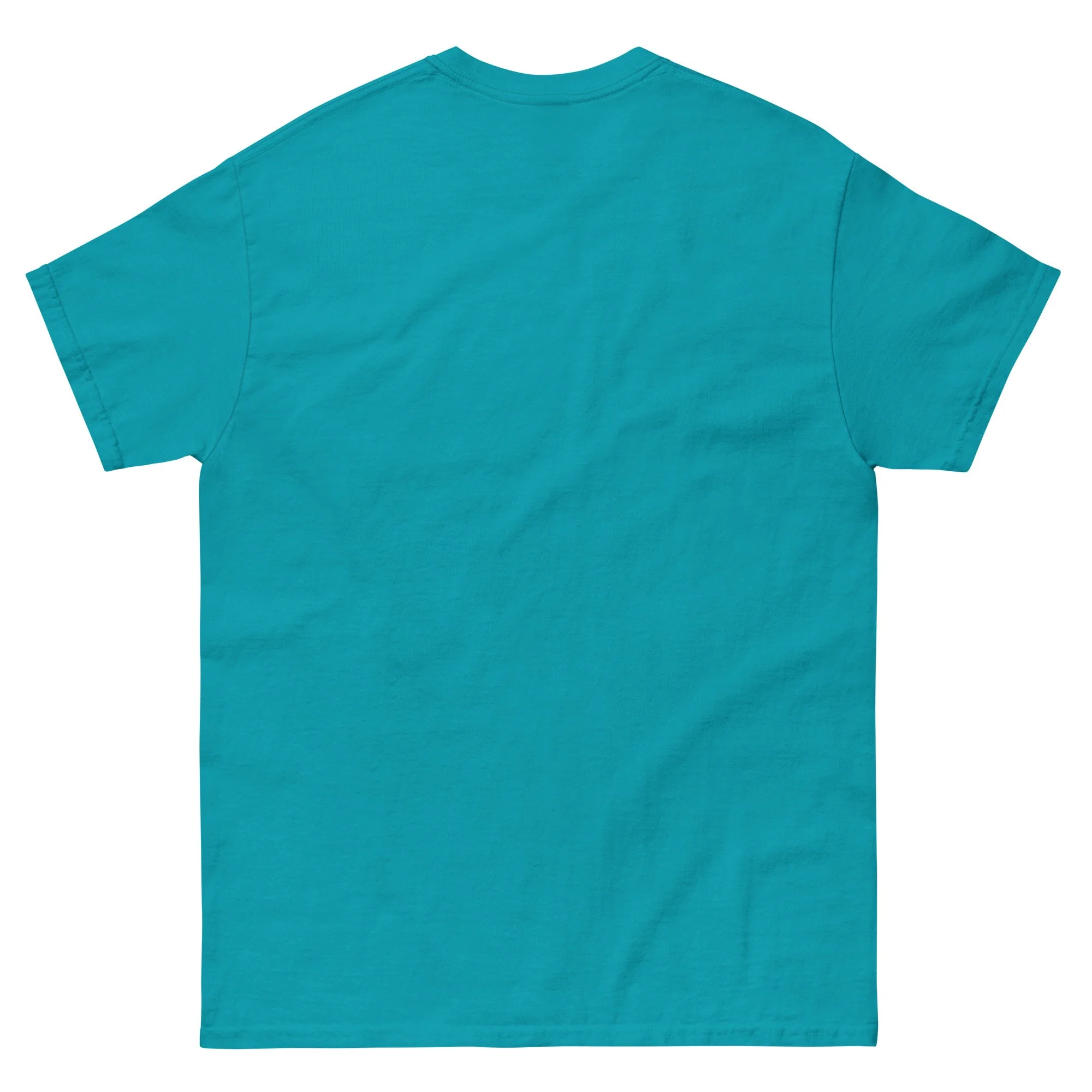 unisex-classic-tee-tropical-blue-back-6806598871b46.jpg