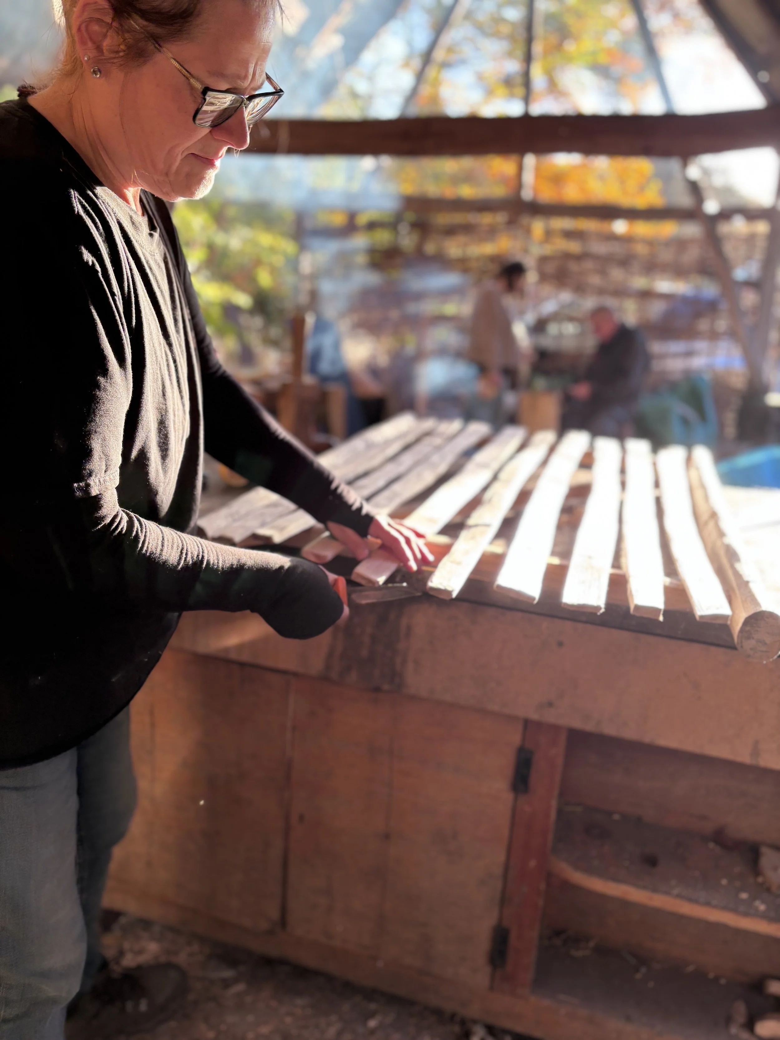 Introducing people to the joys of working with Sweet Chestnut