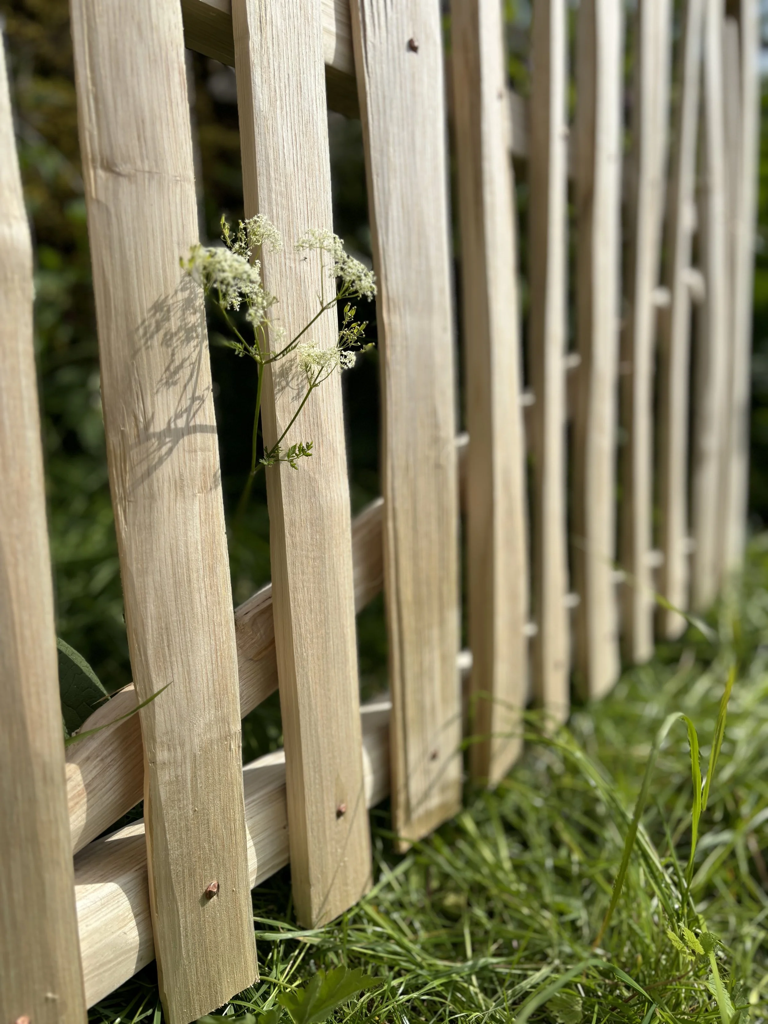Sweet chestnut gate with rose head copper nails