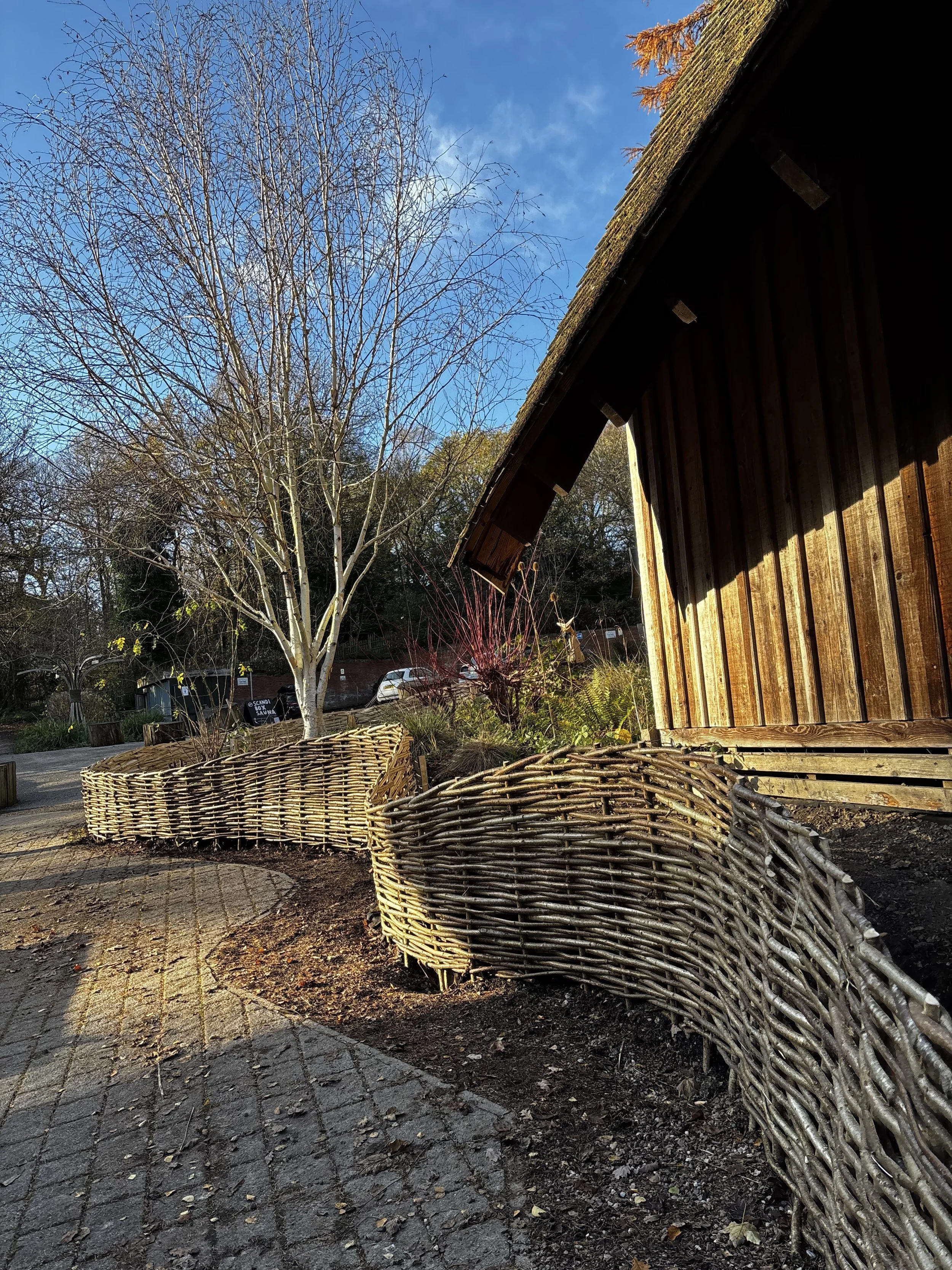 Hazel Fencing woven in situ.