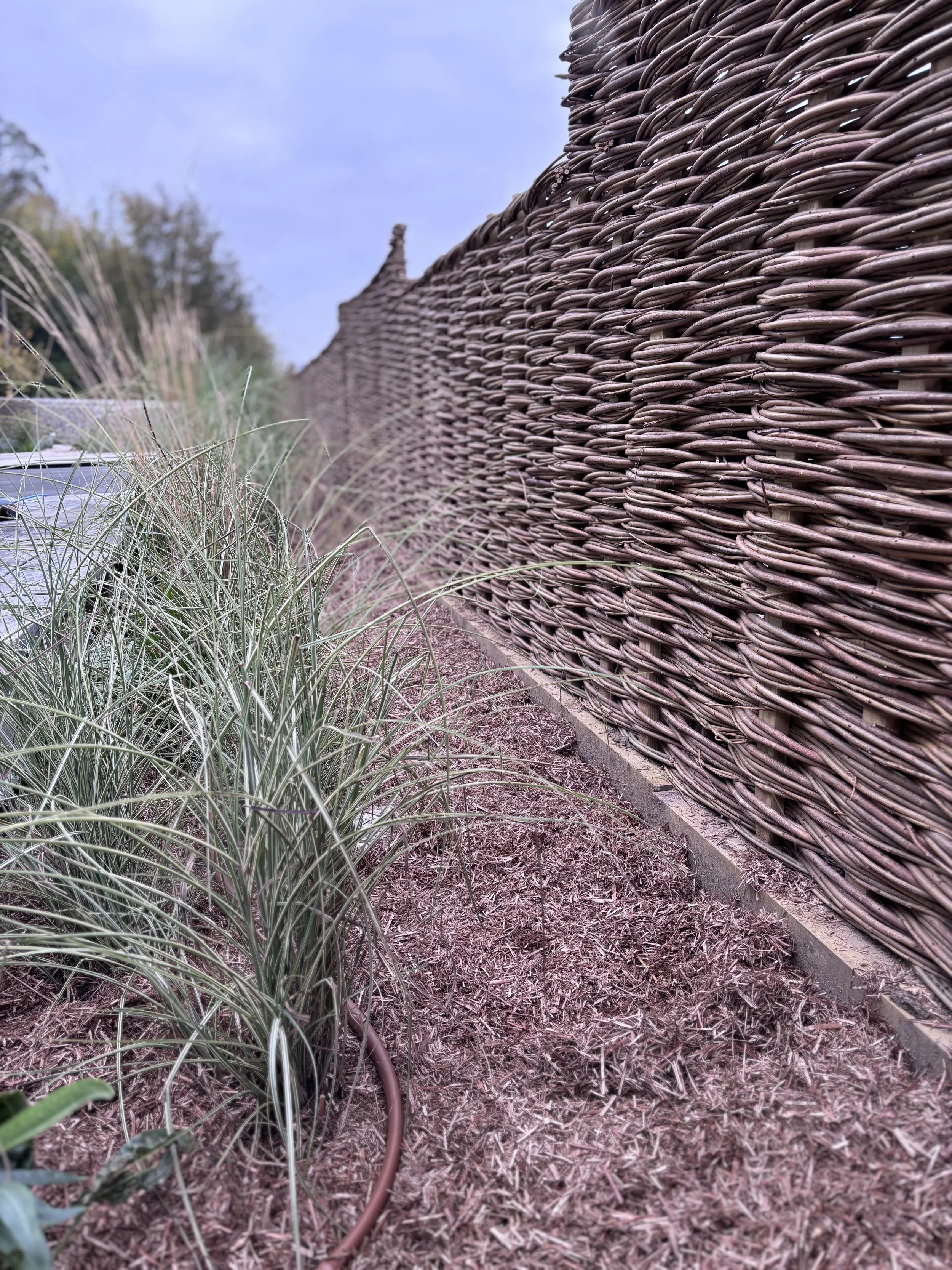 Willow Hurdles in situ