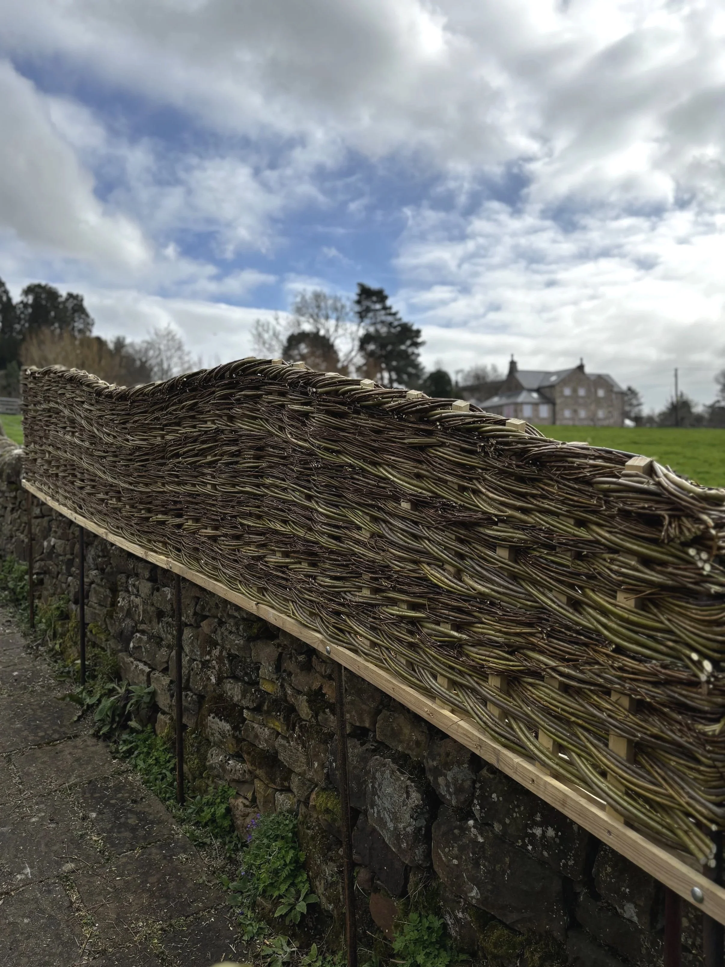 a little more privacy~woven in situ