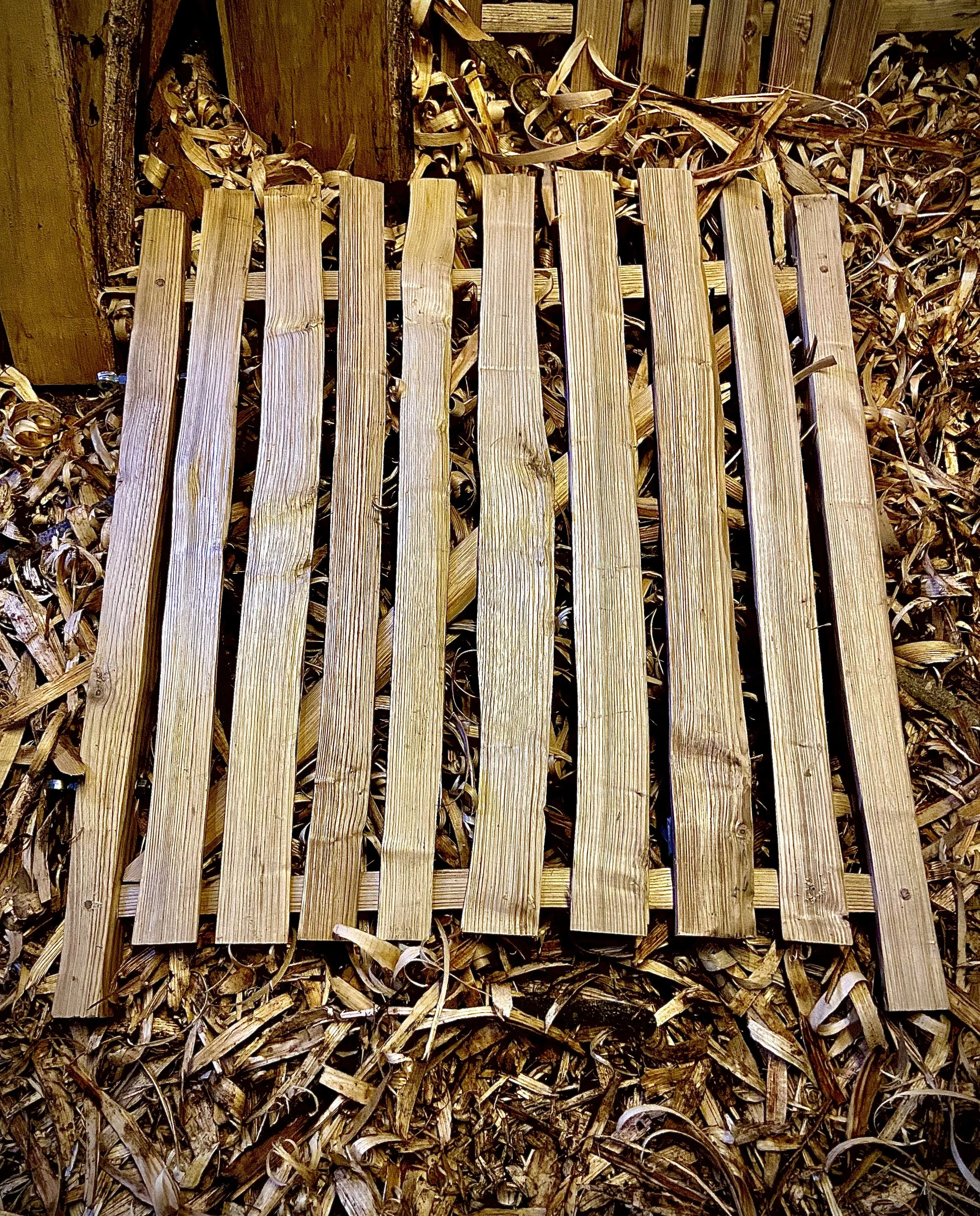 cleft sweet chestnut pale gate