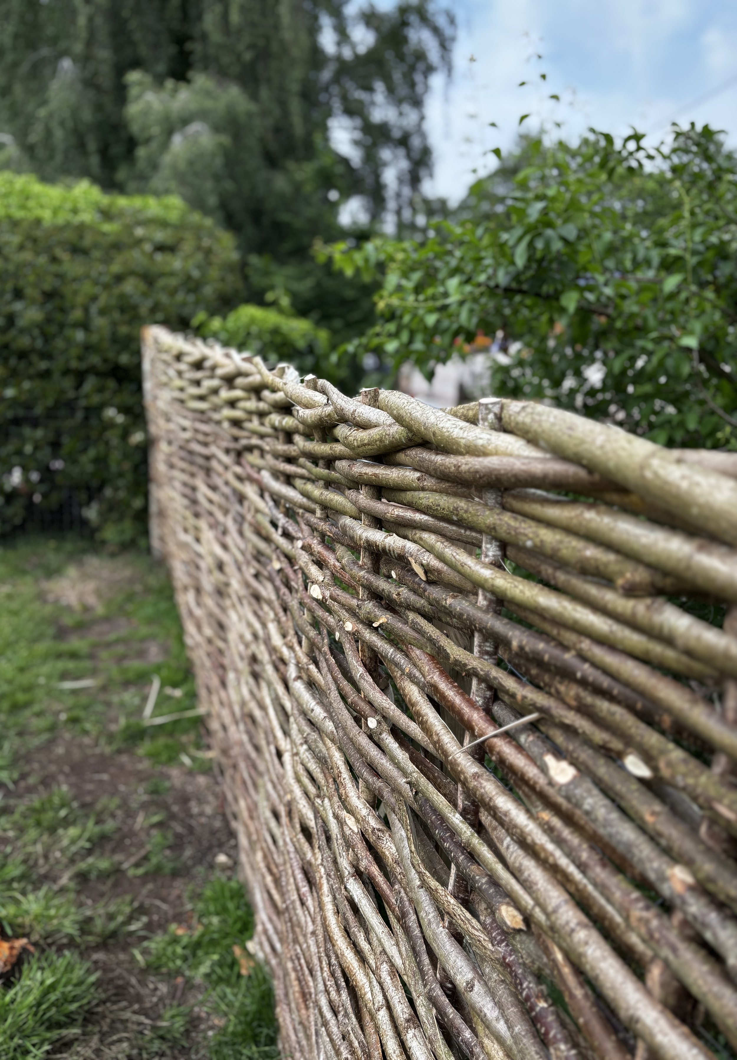 Top weave-Hazel hurdles woven in situ are always finished off in this style