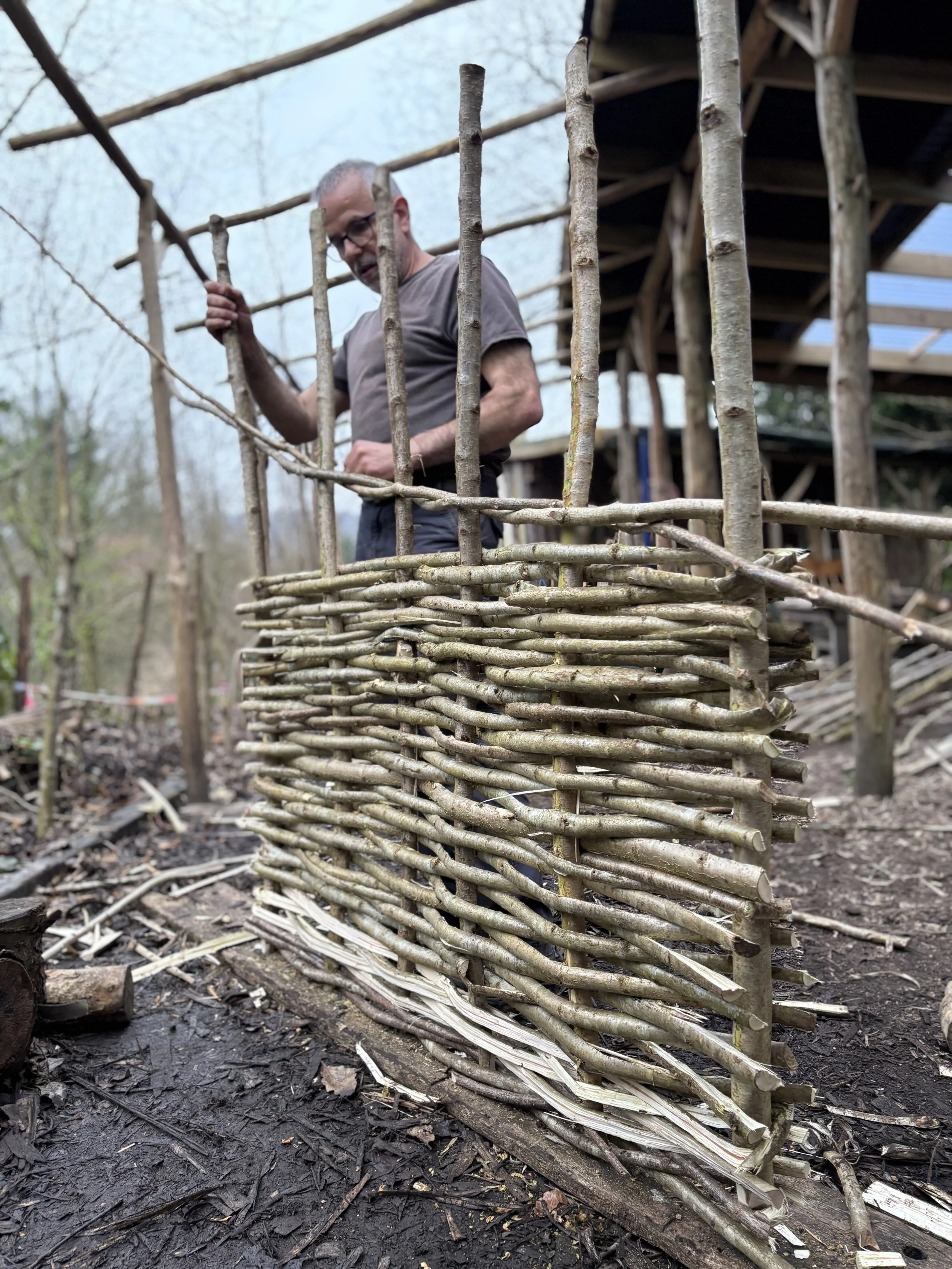 All the twists on a Hazel Hurdle