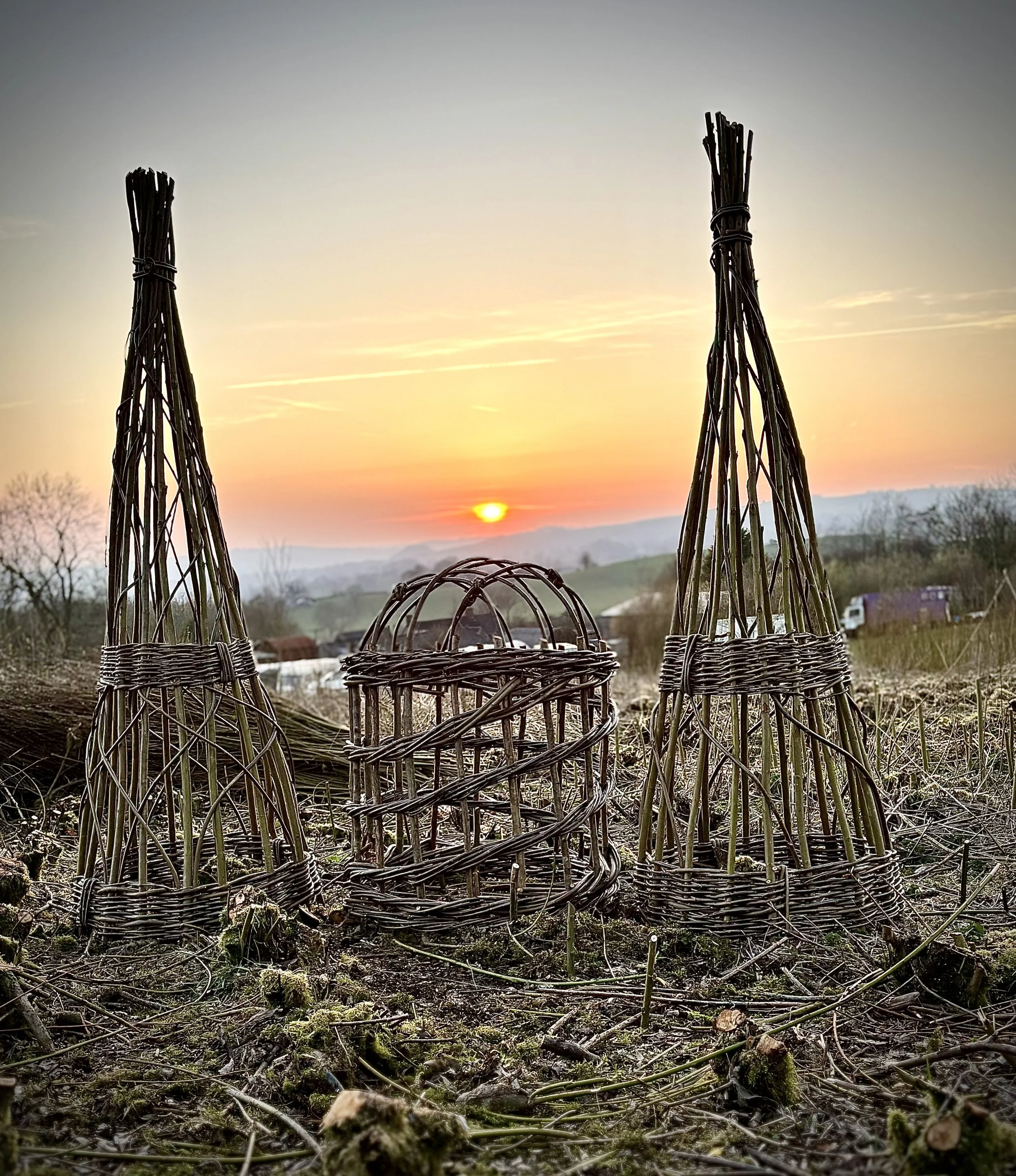 Willow plant climbers and cloches are made to order and can be made in a variety of sizes