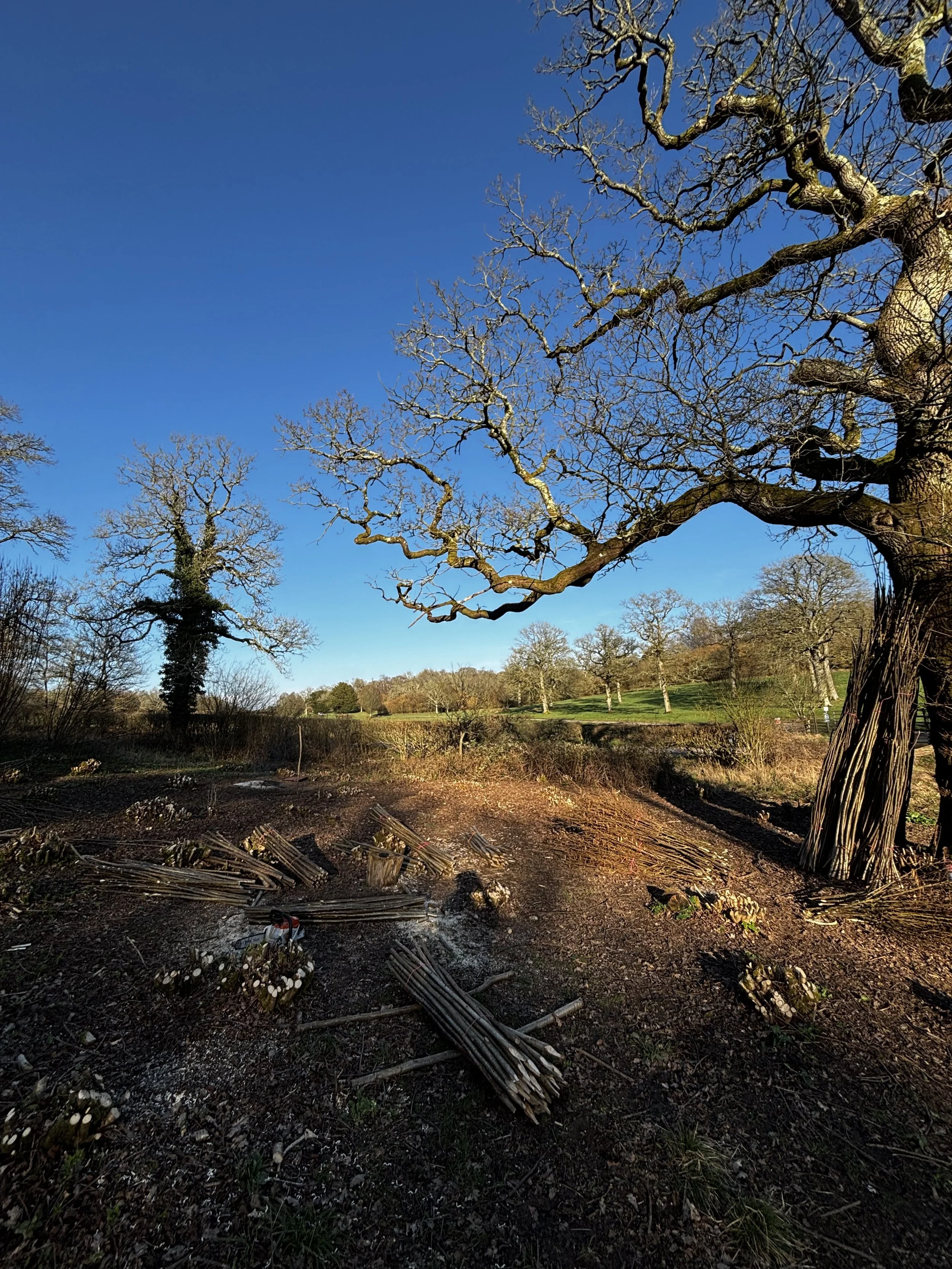 Hazel flower stakes, rustic poles