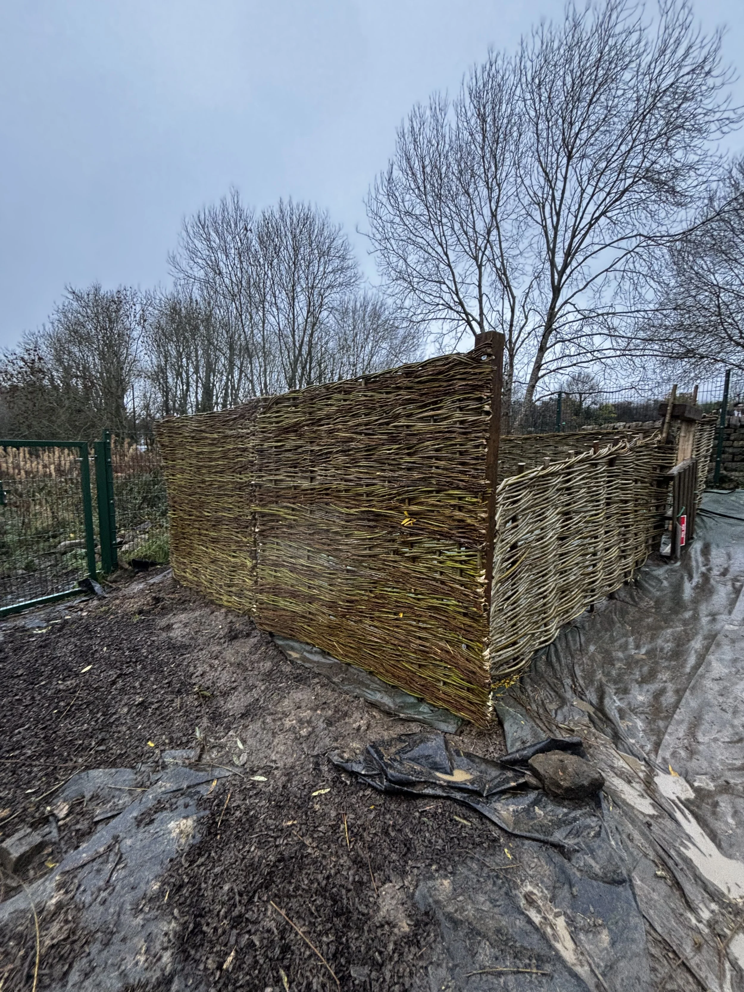 Completed Bee Hive enclosure-Willow hurdles as well as a continuous weave with Chestnut Gate. All made on site with trainees.