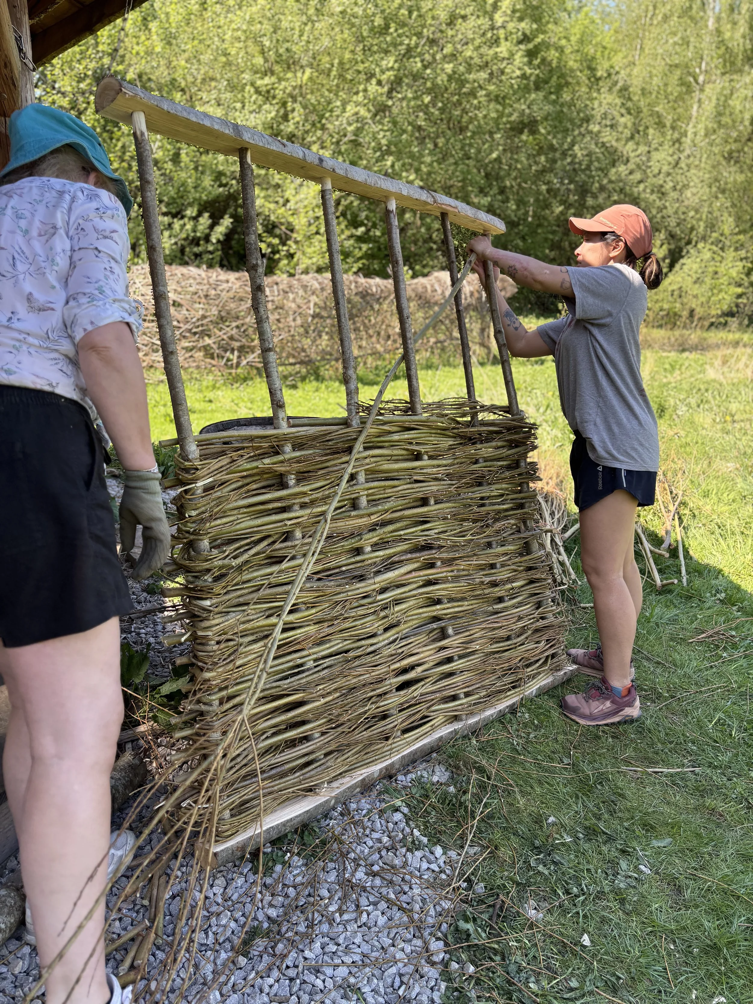 Willow hurdles for a roundhouse