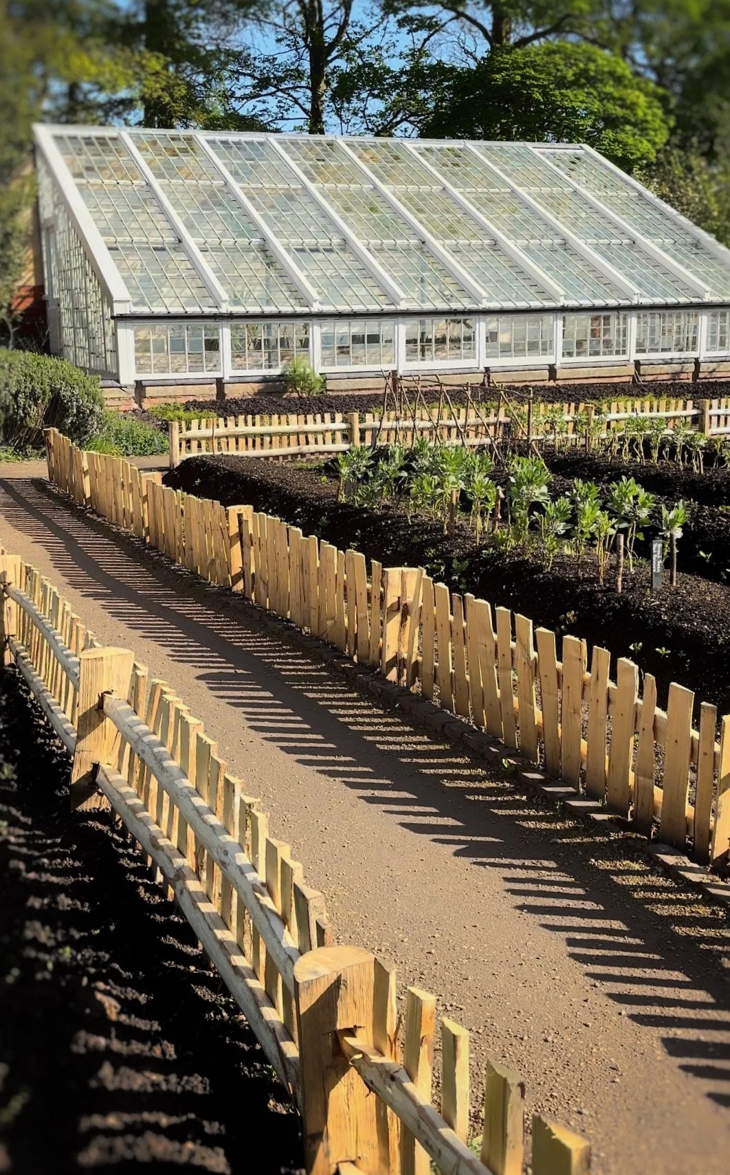 Broad Chestnut Pale Fencing