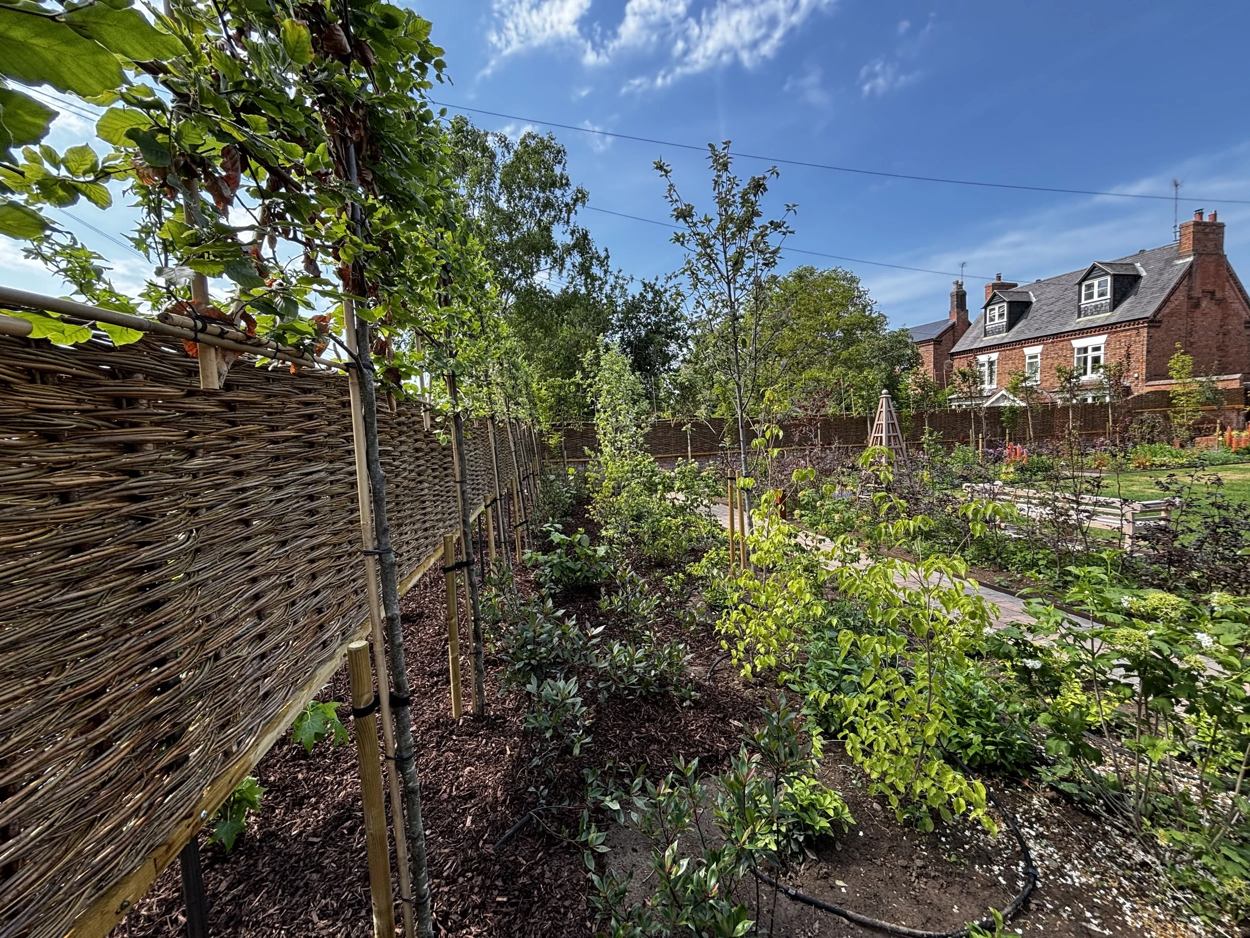 IMG_1402.jpeg